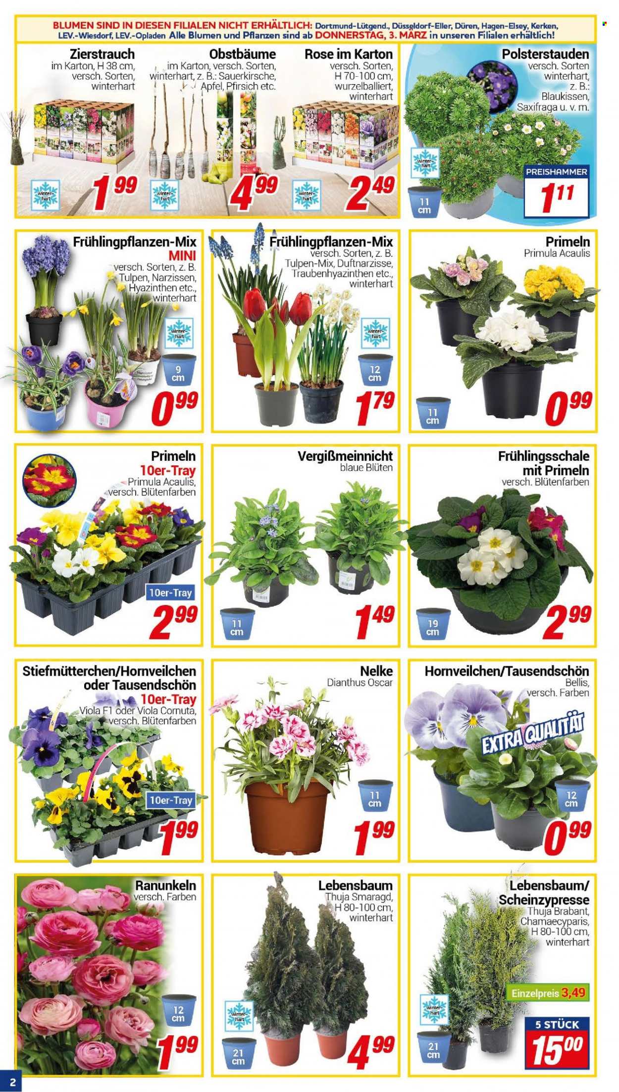 CENTERSHOP Prospekte  - 28.02.2022 - 5.03.2022. Seite 2