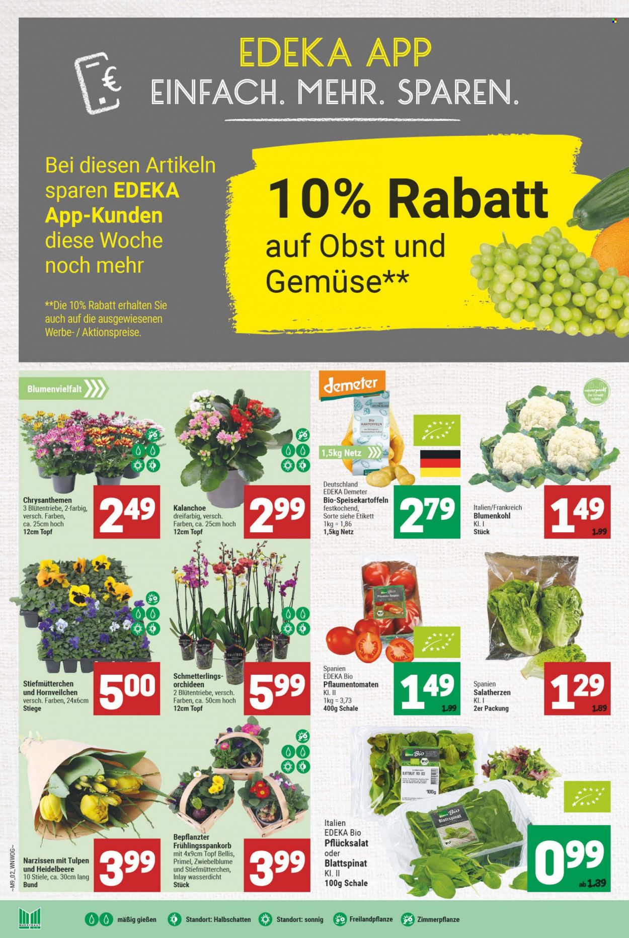 Marktkauf Prospekte  - 28.02.2022 - 5.03.2022. Seite 2