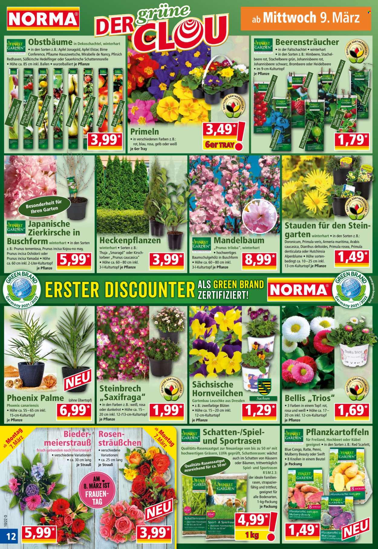 Norma Prospekte  - 7.03.2022 - 13.03.2022. Seite 12
