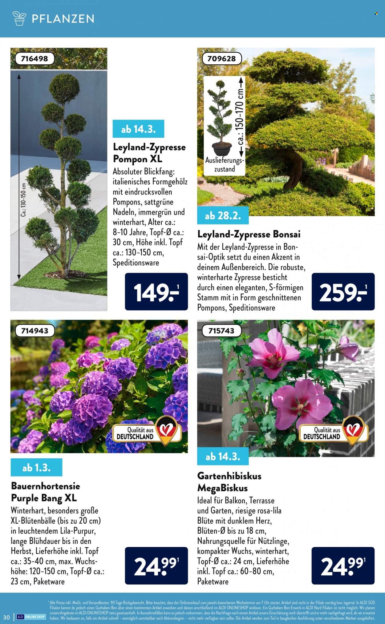 ALDI Nord Prospekte . Seite 30