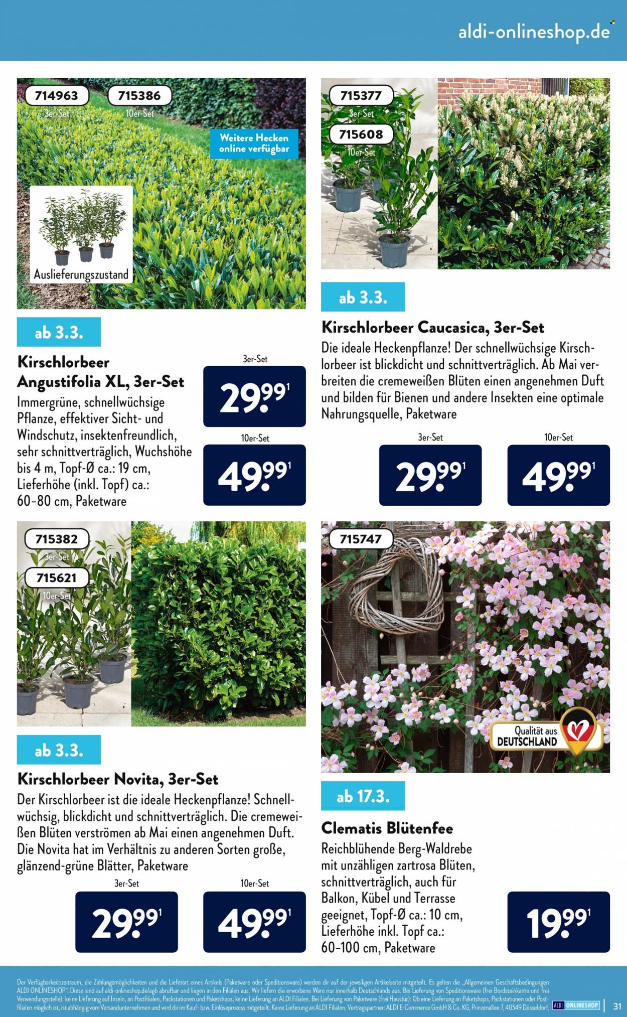 ALDI Nord Prospekte . Seite 31