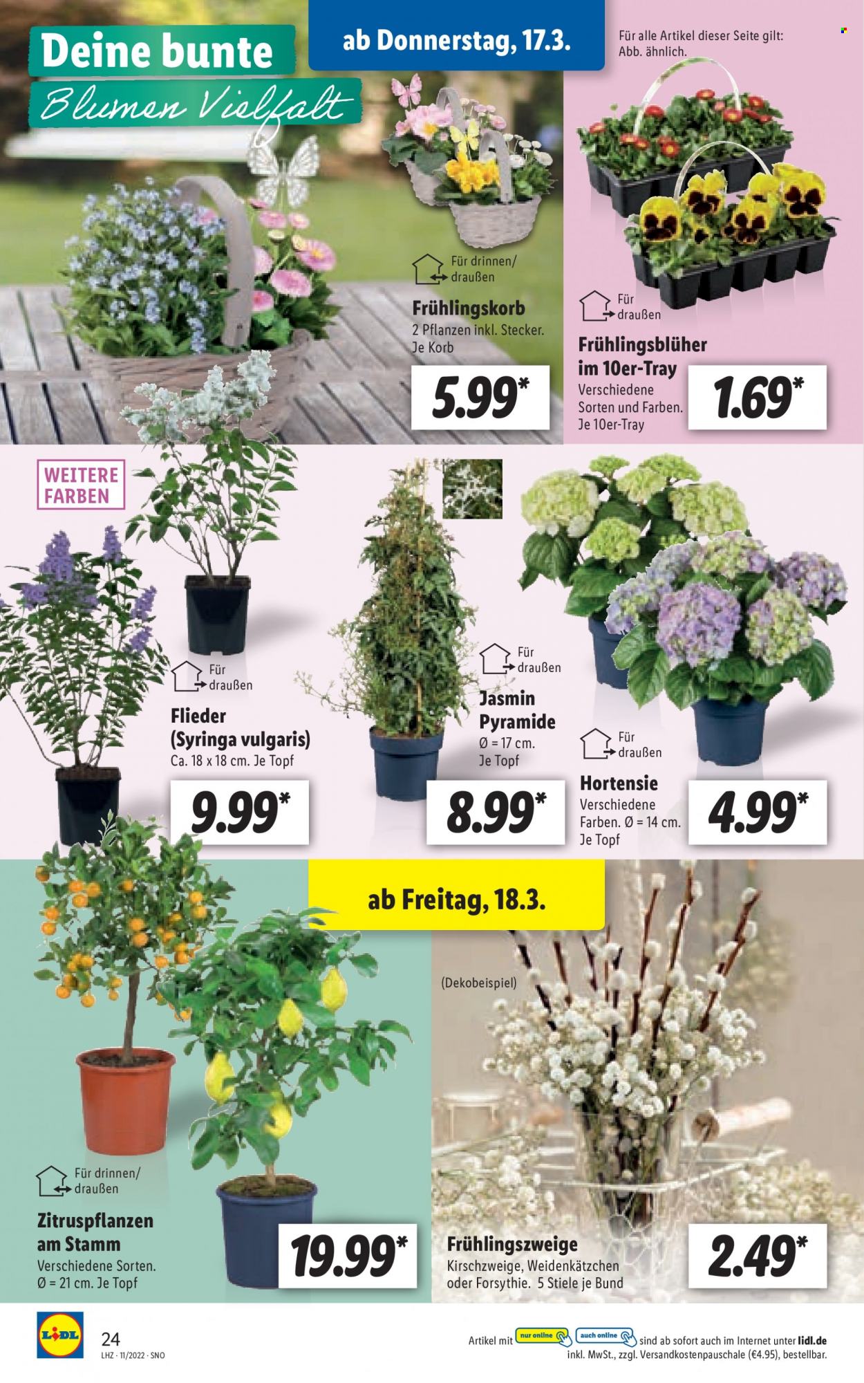 Lidl Prospekte  - 14.03.2022 - 19.03.2022. Seite 24