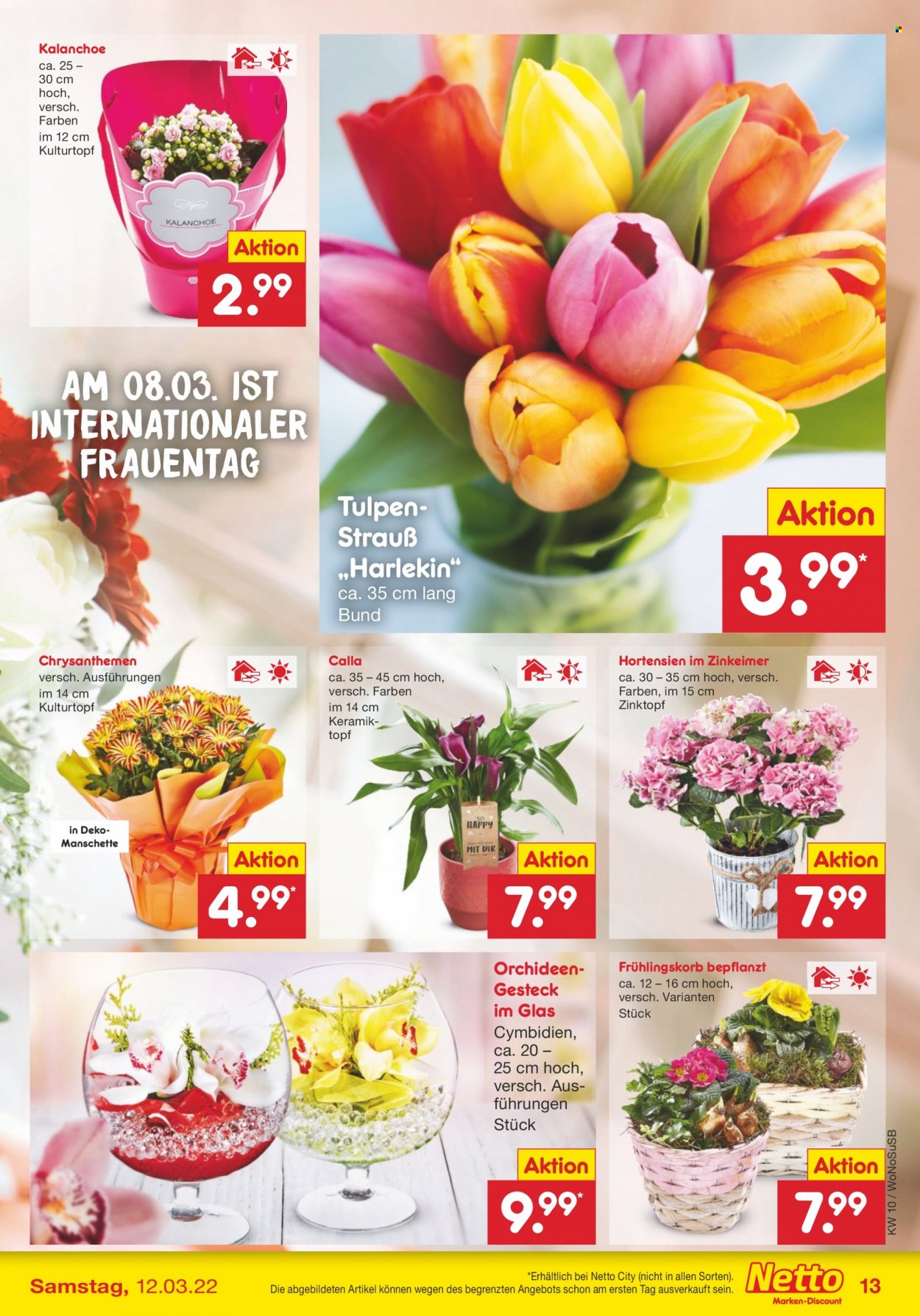 Netto Marken-Discount Prospekte  - 7.03.2022 - 12.03.2022. Seite 13
