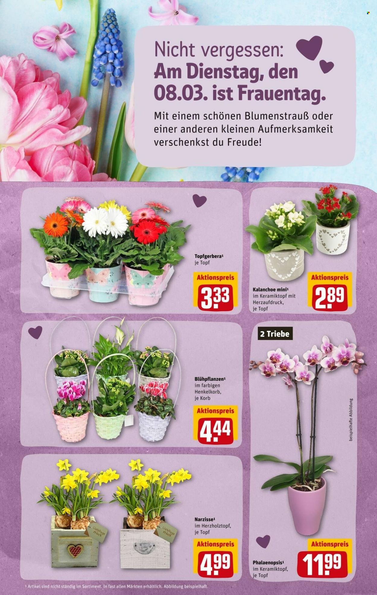 REWE Prospekte  - 7.03.2022 - 12.03.2022. Seite 31