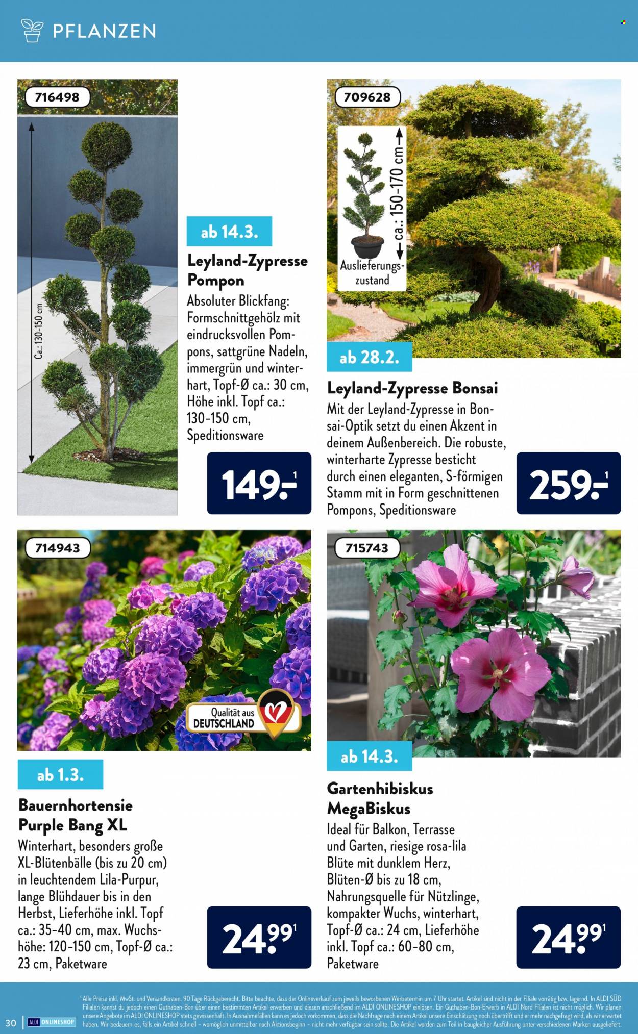 ALDI SÜD Prospekte . Seite 30