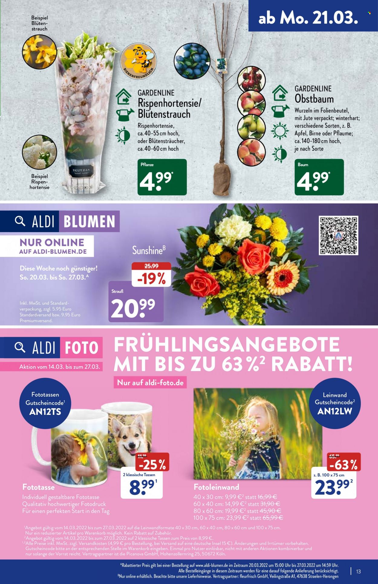 ALDI Nord Prospekte  - 21.03.2022 - 26.03.2022. Seite 13