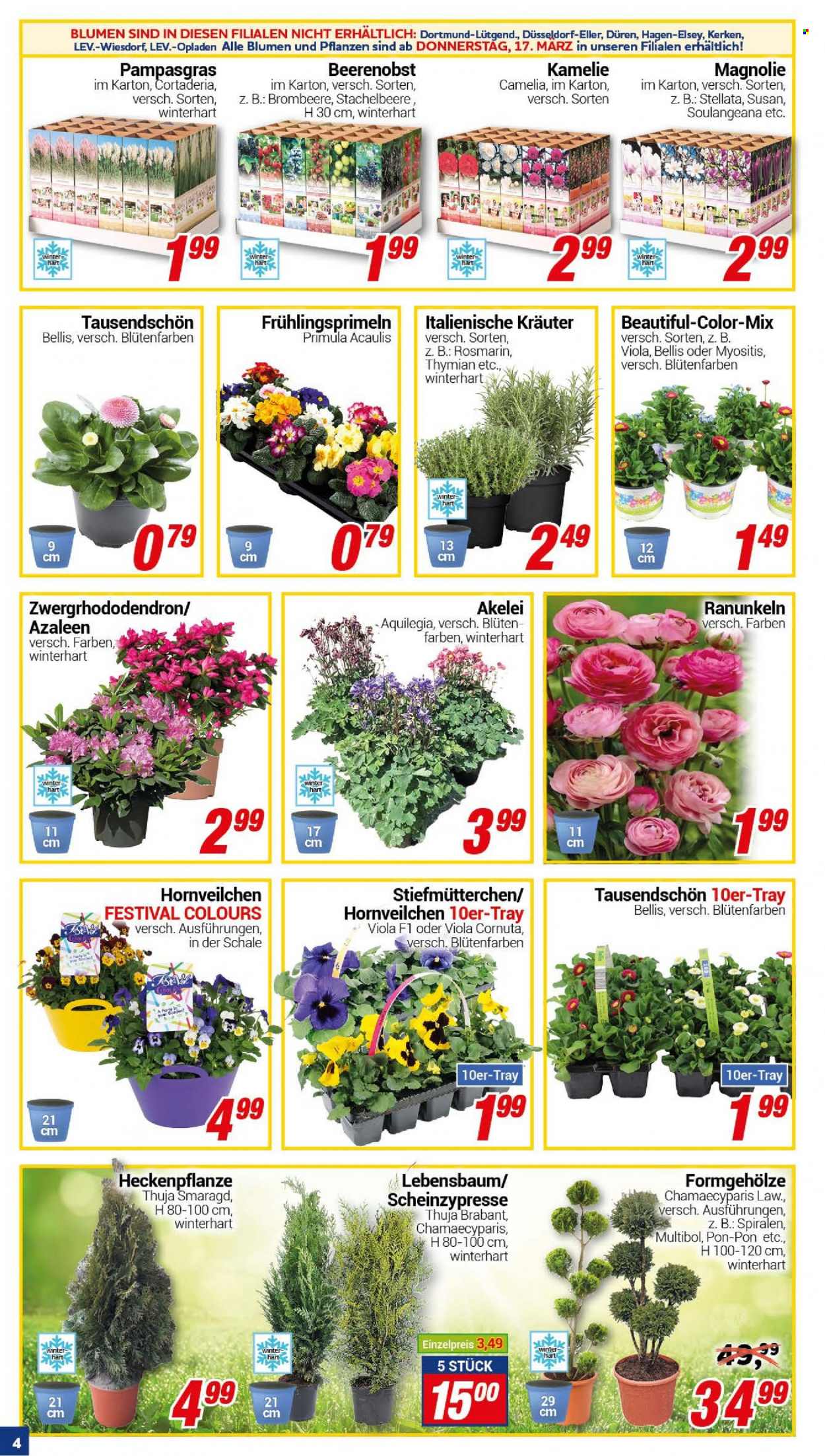 CENTERSHOP Prospekte  - 14.03.2022 - 19.03.2022. Seite 4