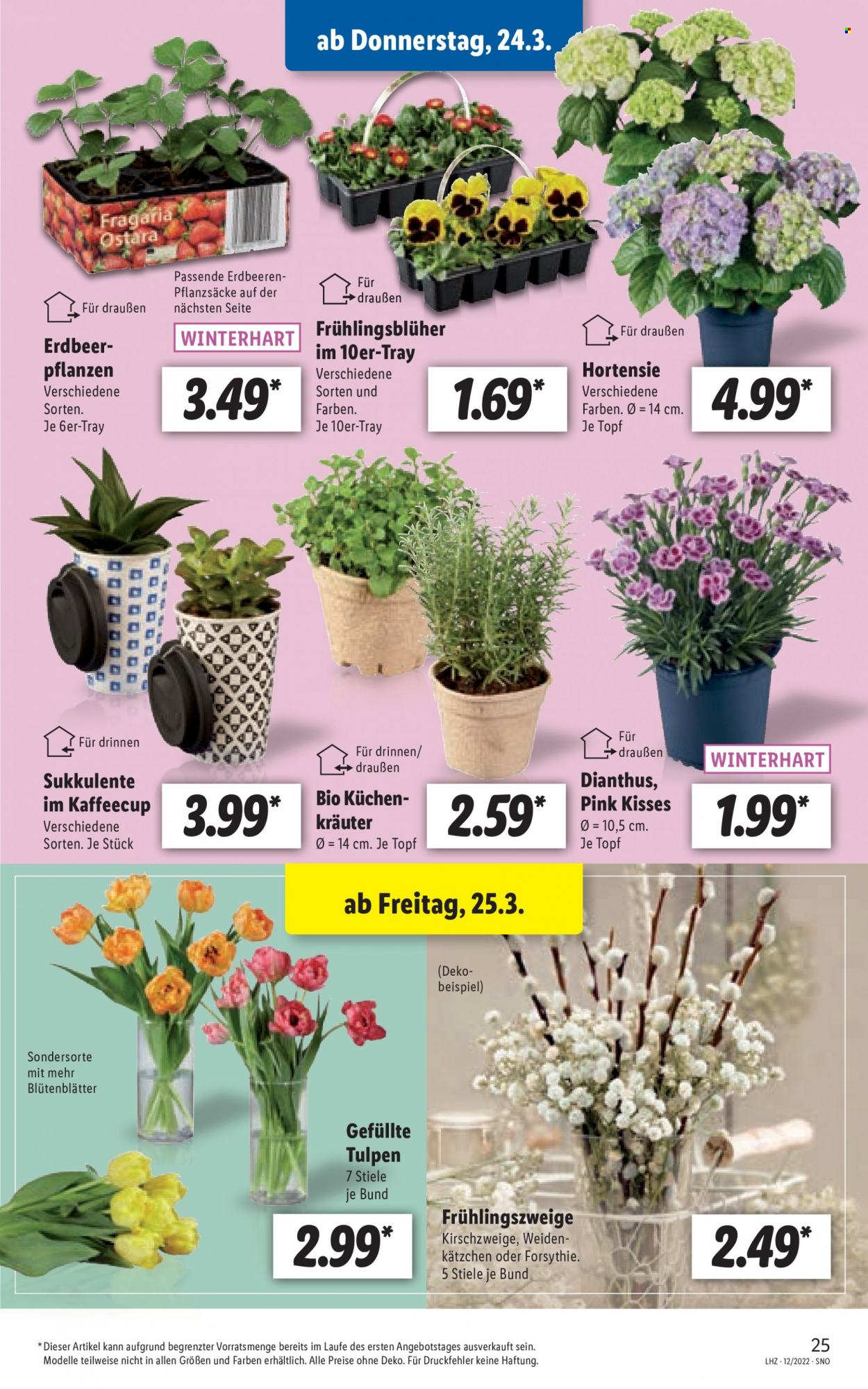 Lidl Prospekte  - 21.03.2022 - 26.03.2022. Seite 25