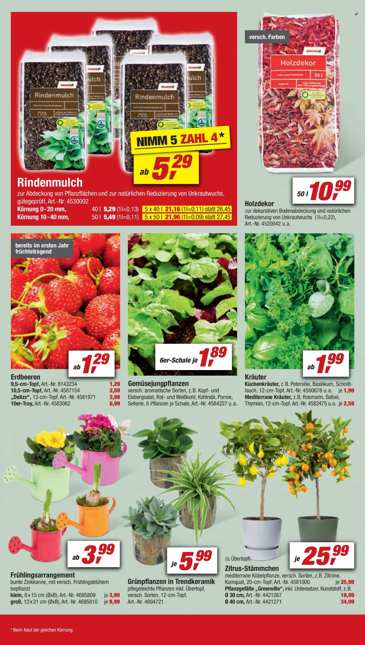 toom Baumarkt Prospekte  - 19.03.2022 - 25.03.2022. Seite 6