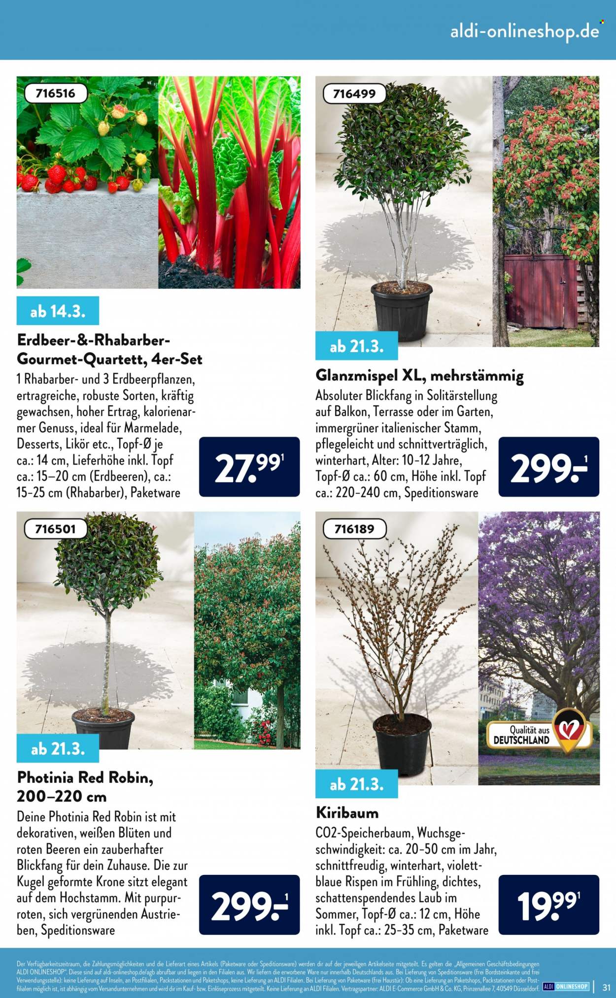 ALDI SÜD Prospekte . Seite 31