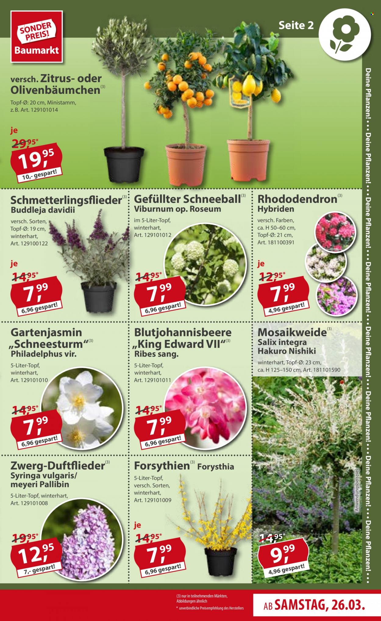 Sonderpreis-Baumarkt Prospekte  - 26.03.2022 - 1.04.2022. Seite 11