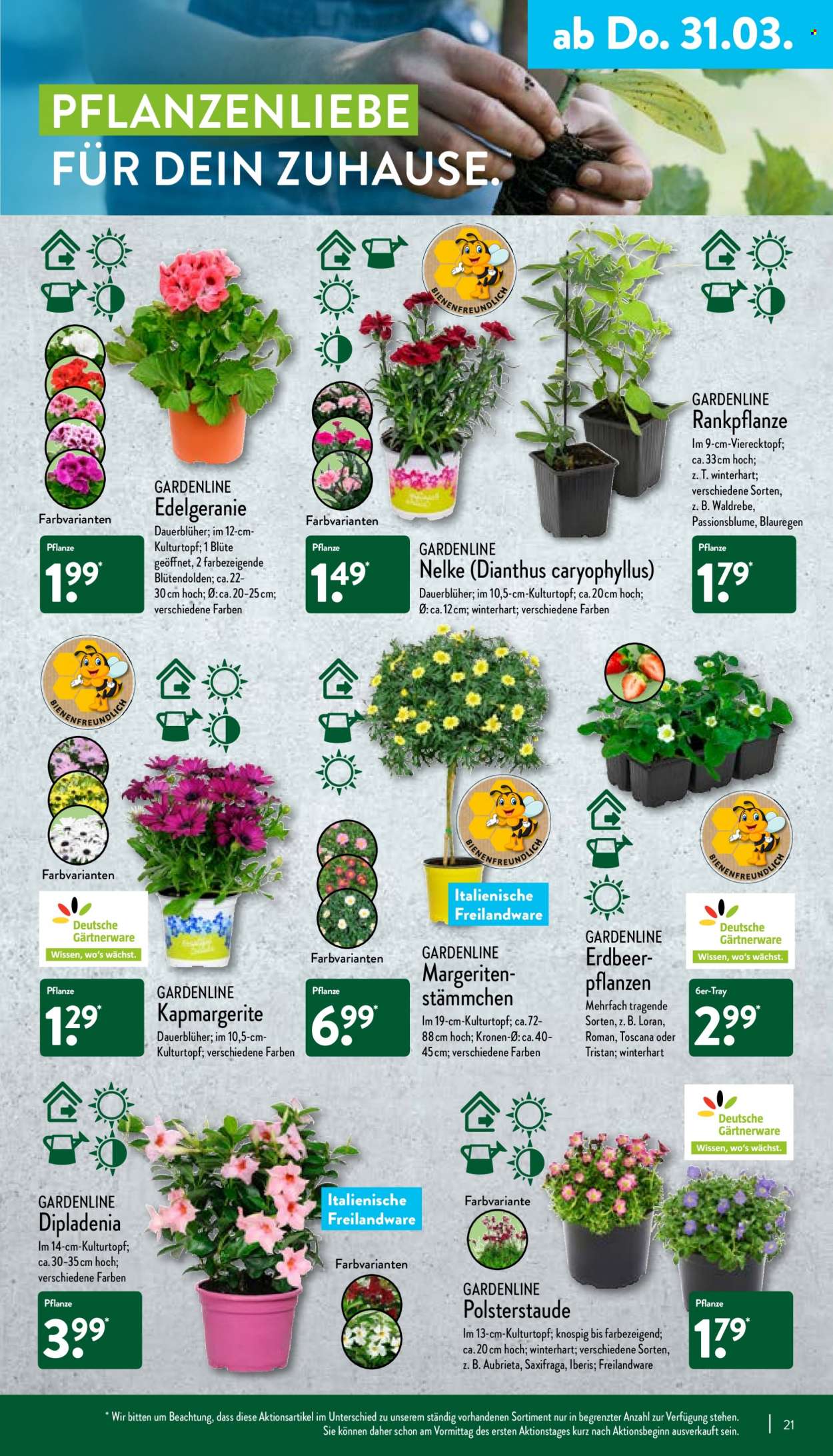 ALDI Nord Prospekte  - 28.03.2022 - 2.04.2022. Seite 21