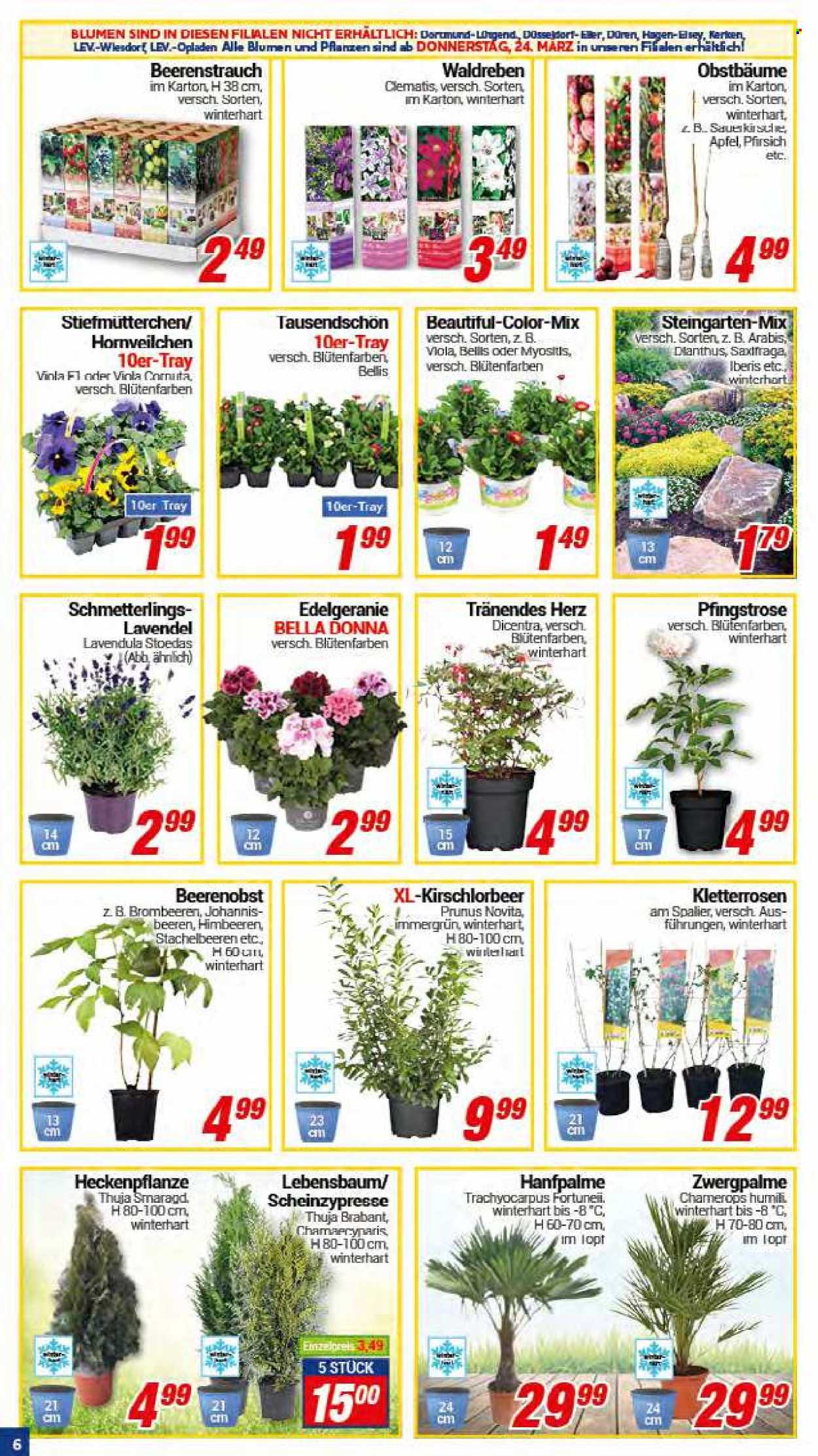 CENTERSHOP Prospekte  - 21.03.2022 - 26.03.2022. Seite 6