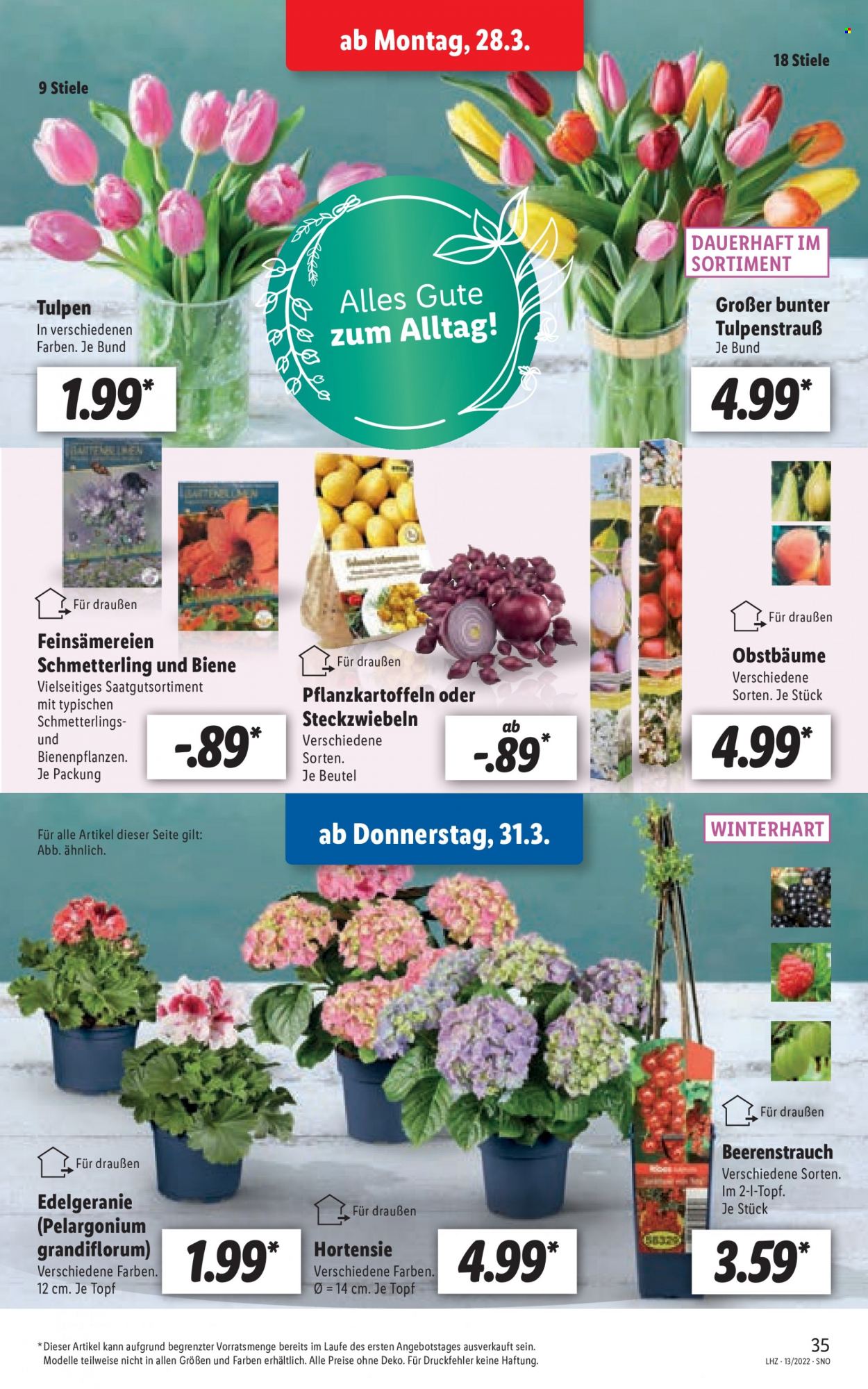 Lidl Prospekte  - 28.03.2022 - 2.04.2022. Seite 35