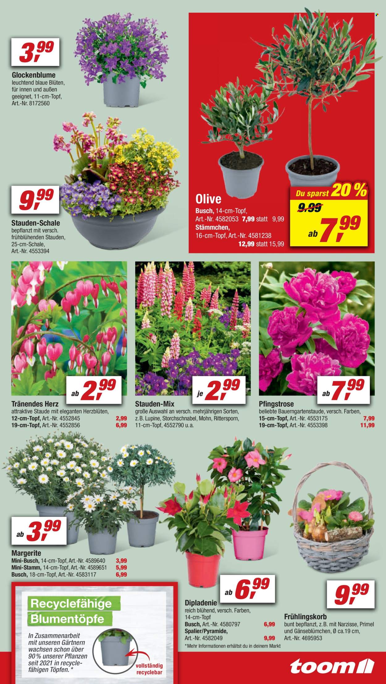 toom Baumarkt Prospekte  - 26.03.2022 - 1.04.2022. Seite 5