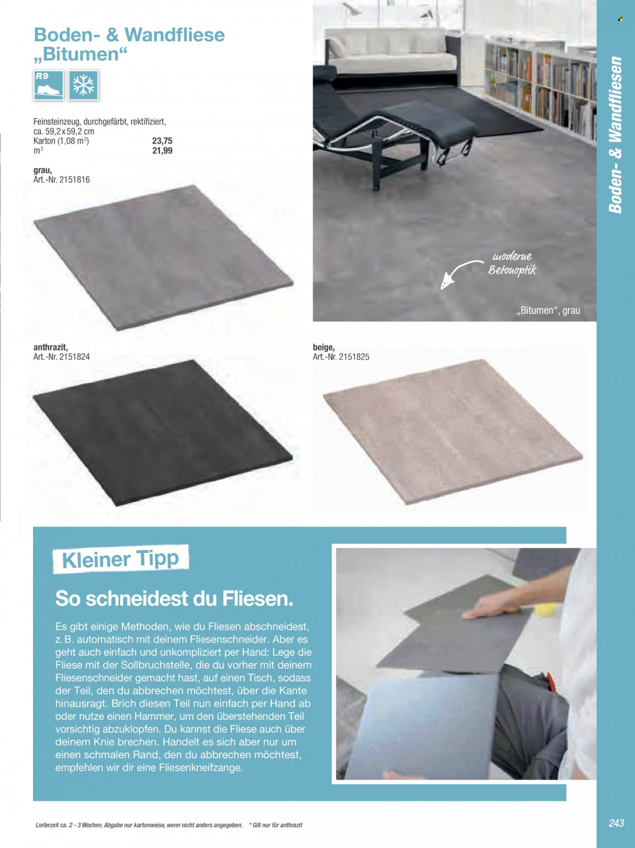 toom Baumarkt Prospekte  - 21.03.2022 - 30.06.2022. Seite 243