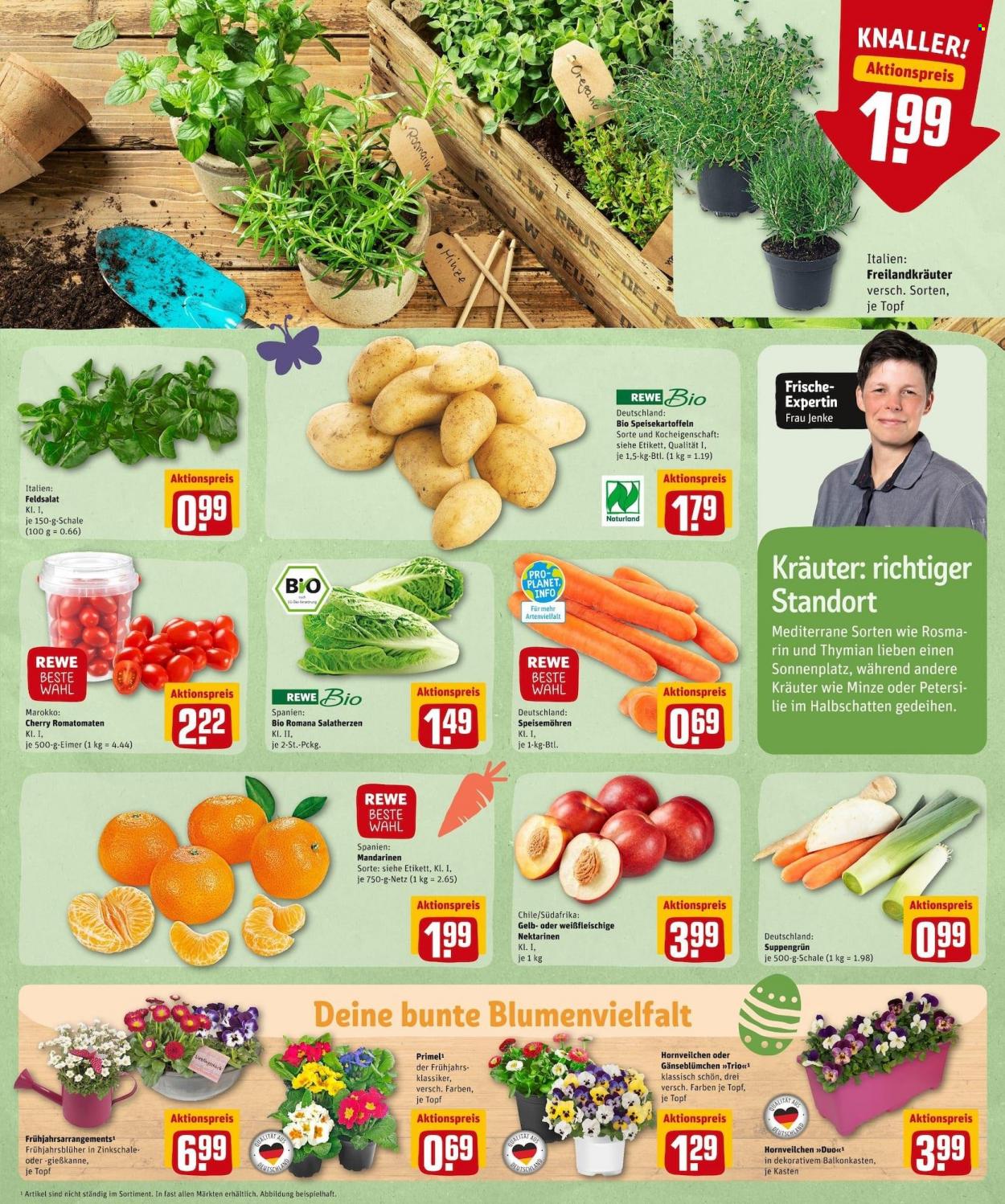 REWE Prospekte  - 21.03.2022 - 26.03.2022. Seite 5