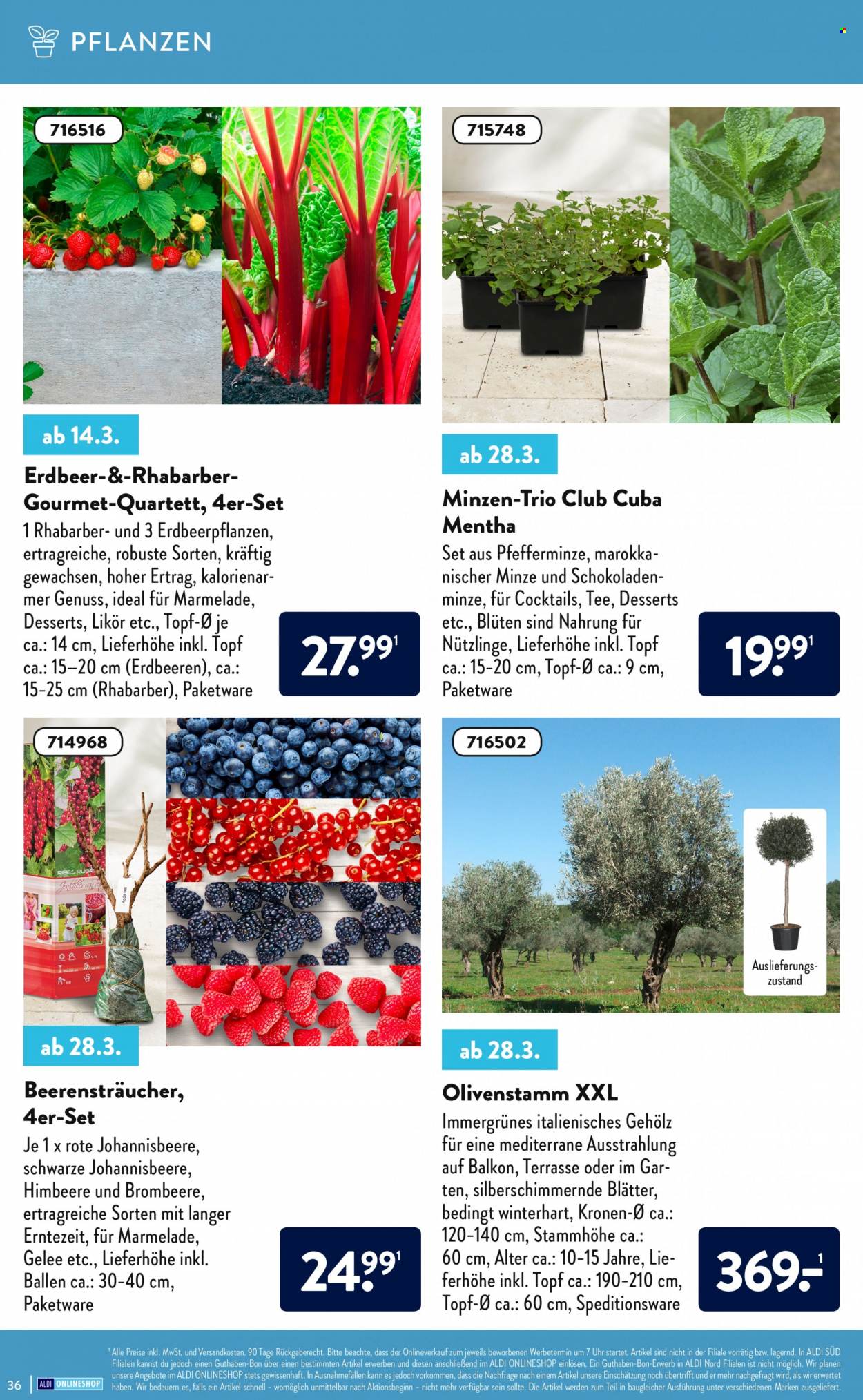 ALDI SÜD Prospekte . Seite 36