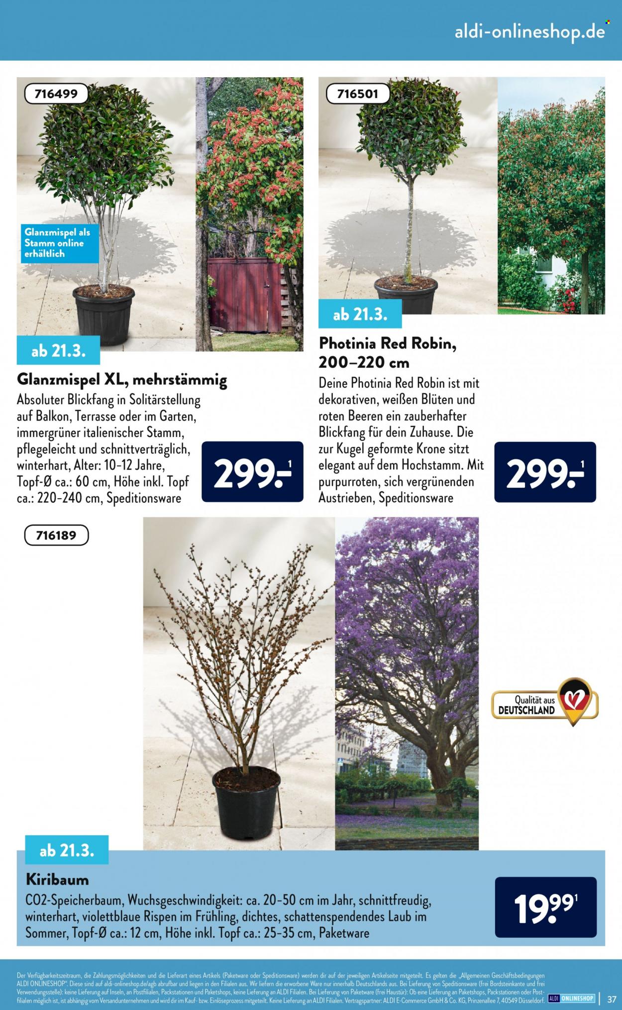 ALDI SÜD Prospekte . Seite 37