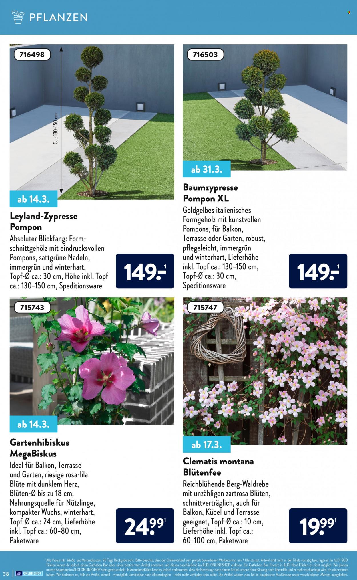 ALDI SÜD Prospekte . Seite 38