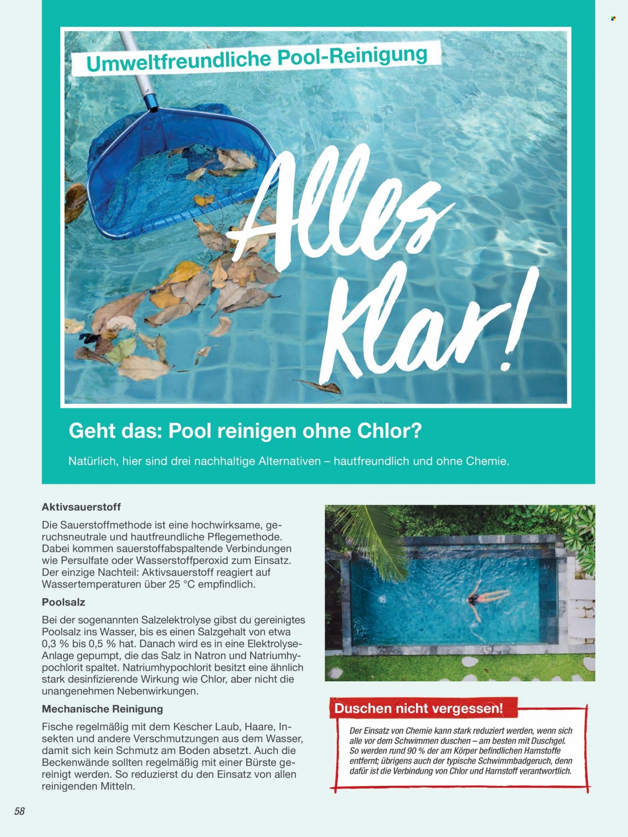 toom Baumarkt Prospekte  - 24.03.2022 - 31.05.2022. Seite 58