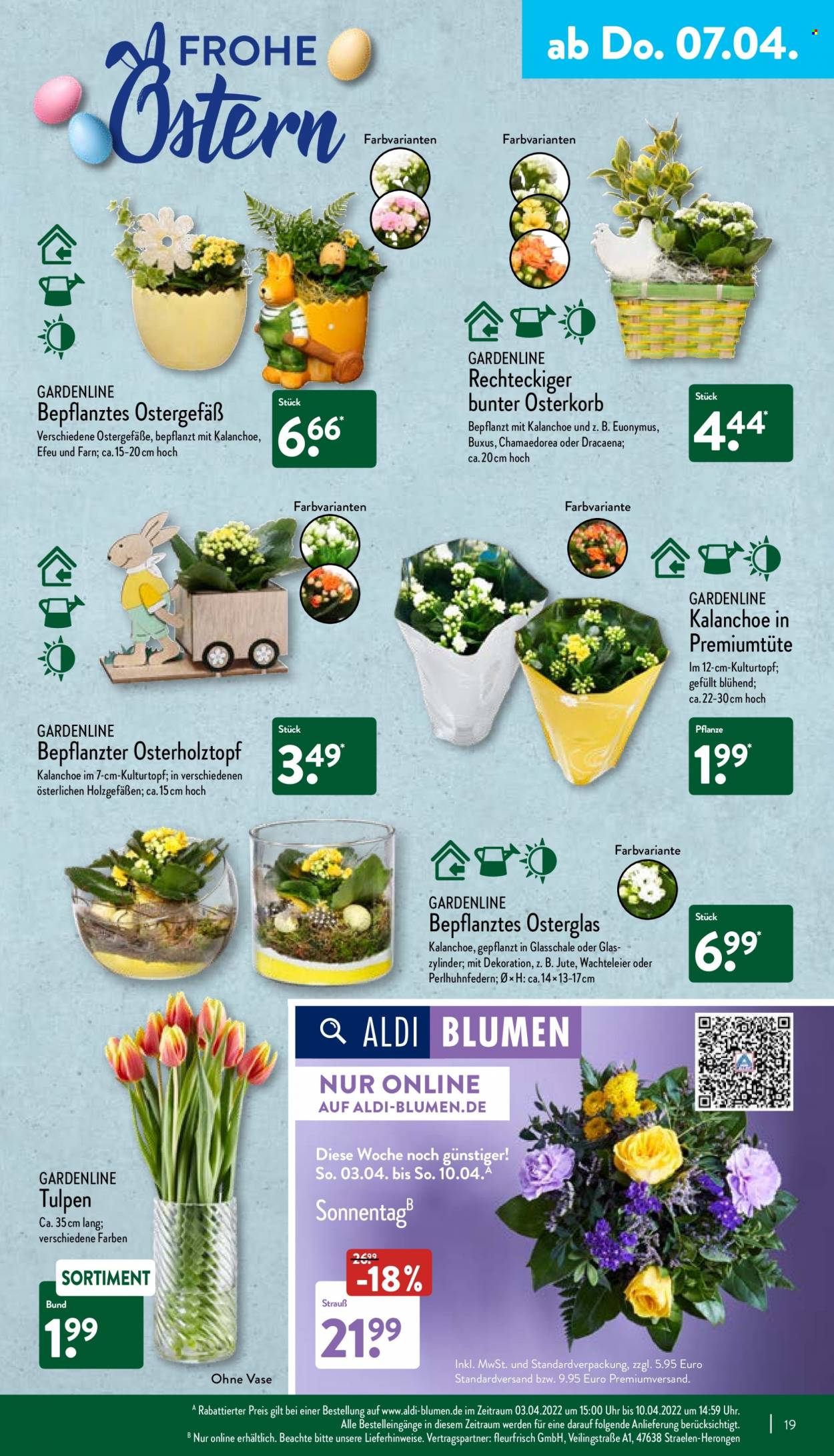 ALDI Nord Prospekte  - 4.04.2022 - 9.04.2022. Seite 19