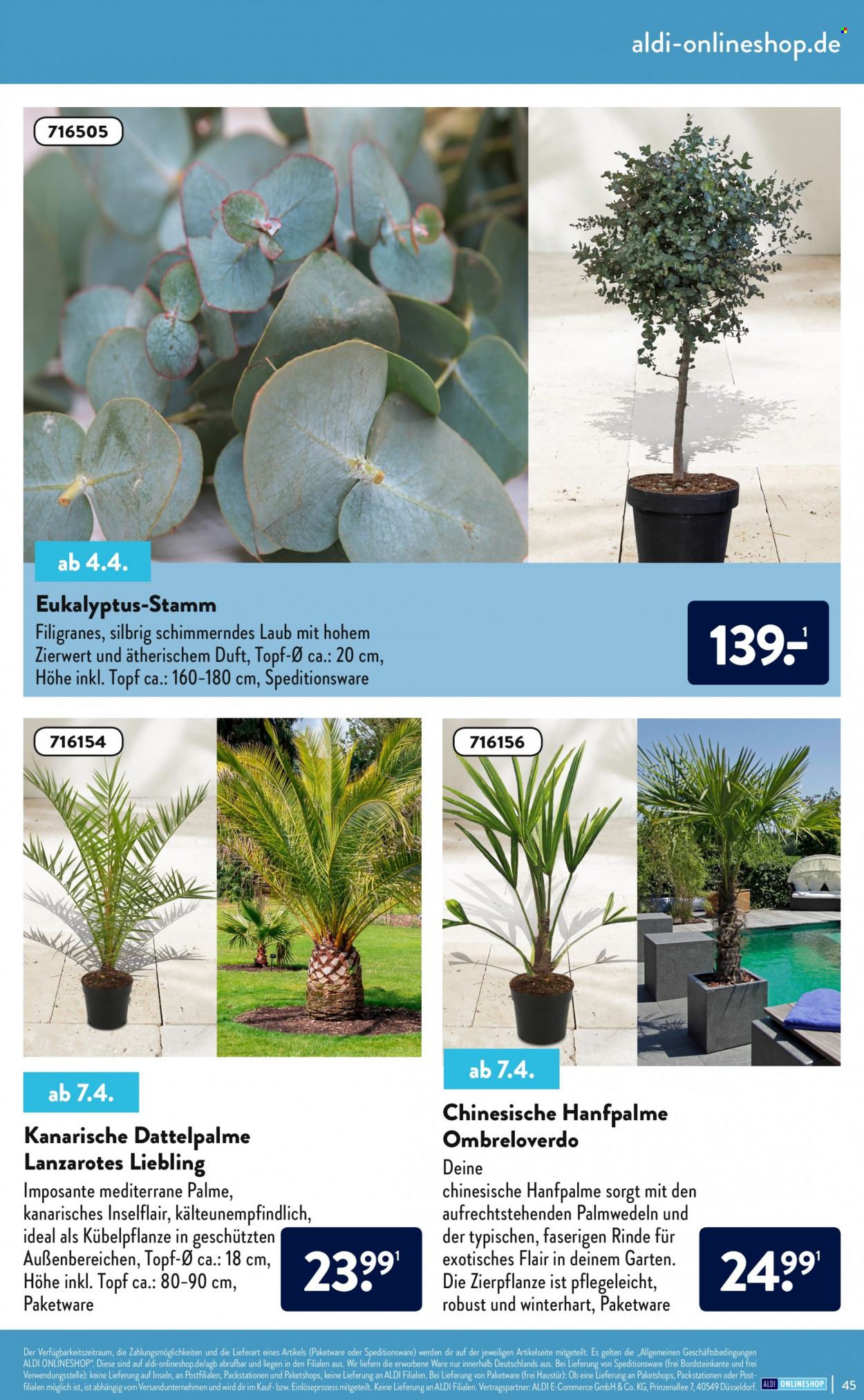 ALDI Nord Prospekte . Seite 45