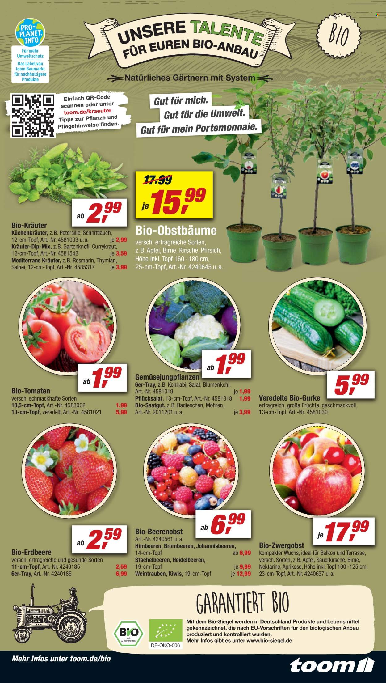 toom Baumarkt Prospekte  - 2.04.2022 - 8.04.2022. Seite 17