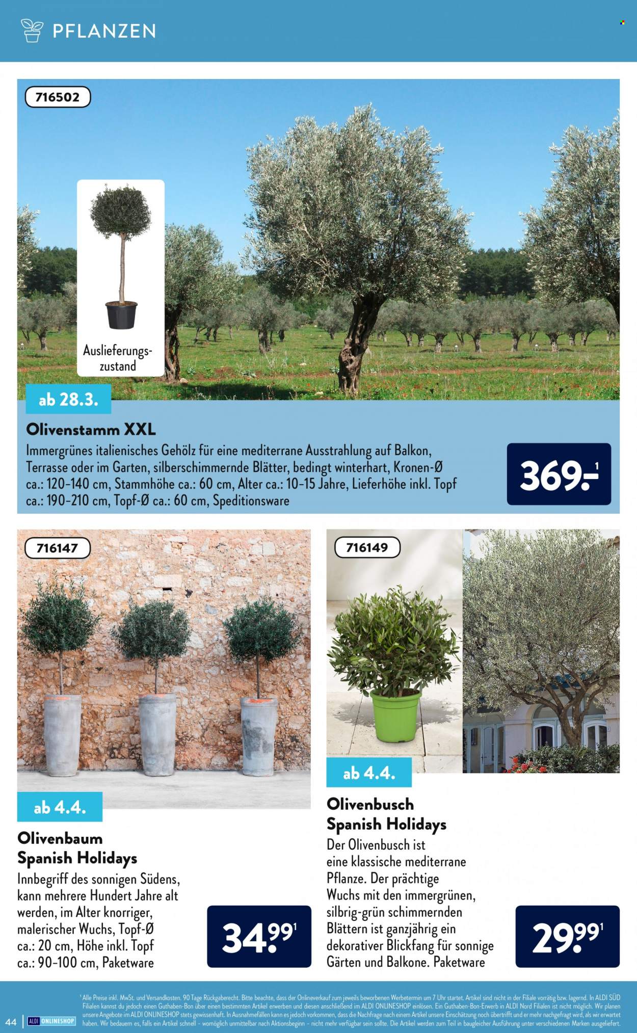 ALDI SÜD Prospekte . Seite 44
