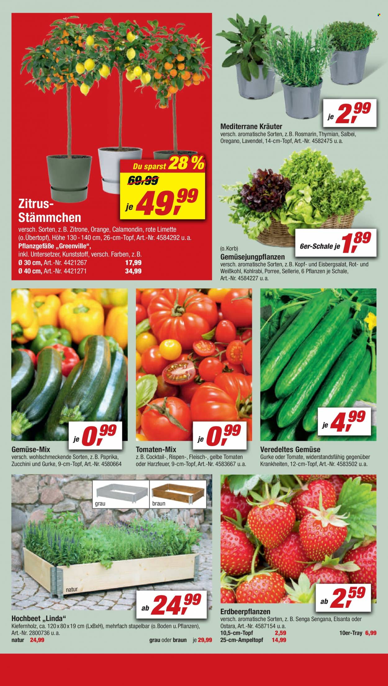 toom Baumarkt Prospekte  - 9.04.2022 - 15.04.2022. Seite 8