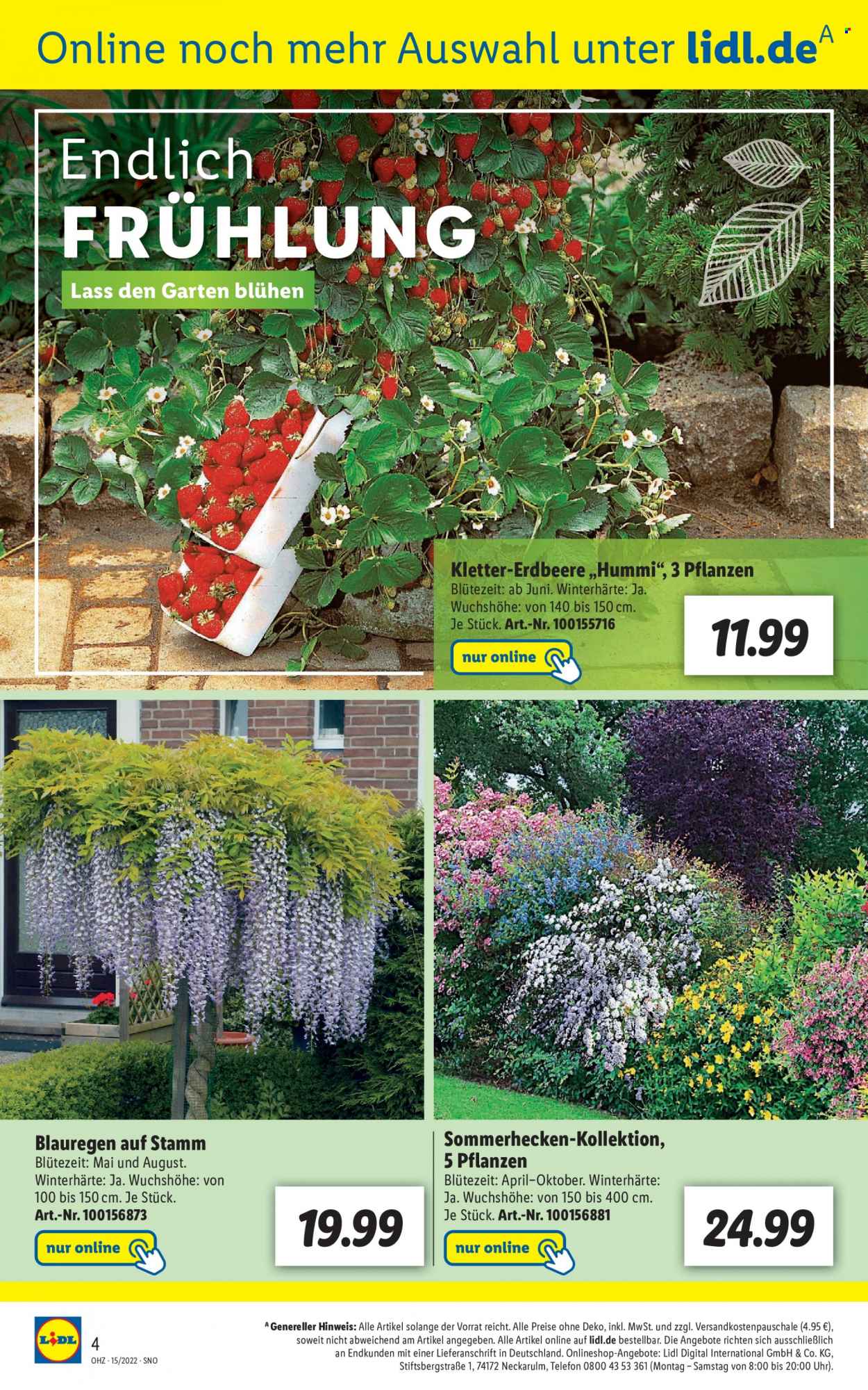 Lidl Prospekte  - 11.04.2022 - 17.04.2022. Seite 4