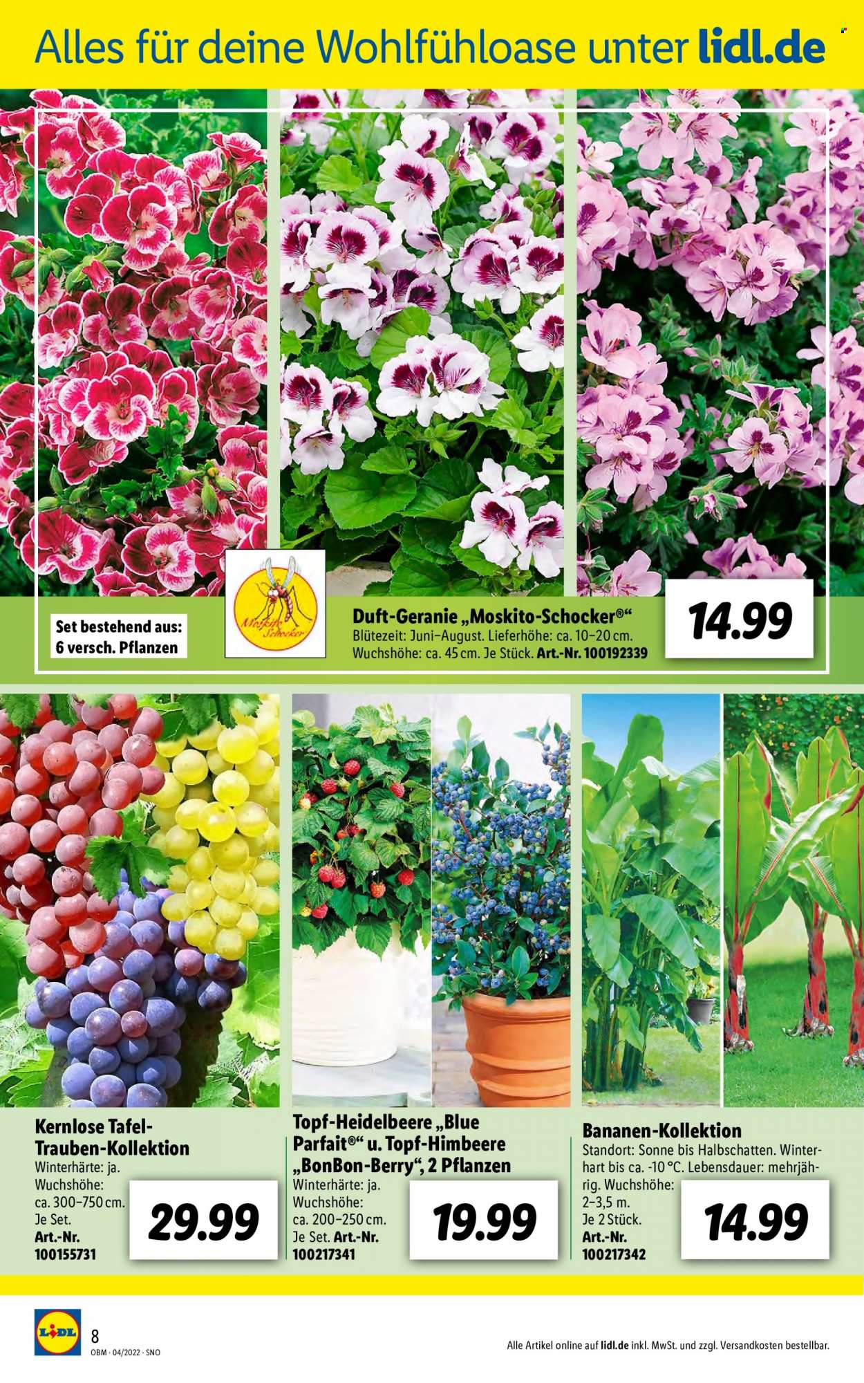 Lidl Prospekte  - 1.04.2022 - 30.04.2022. Seite 8