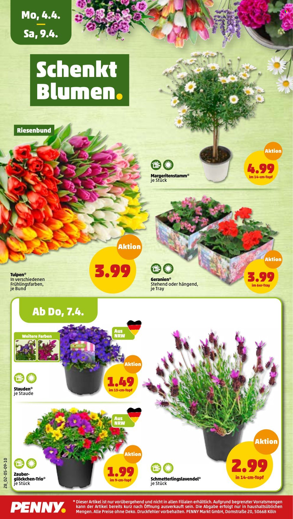 Penny Prospekte  - 4.04.2022 - 9.04.2022. Seite 24