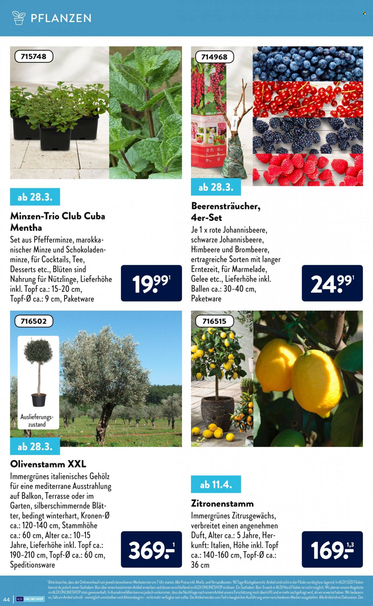 ALDI SÜD Prospekte . Seite 44