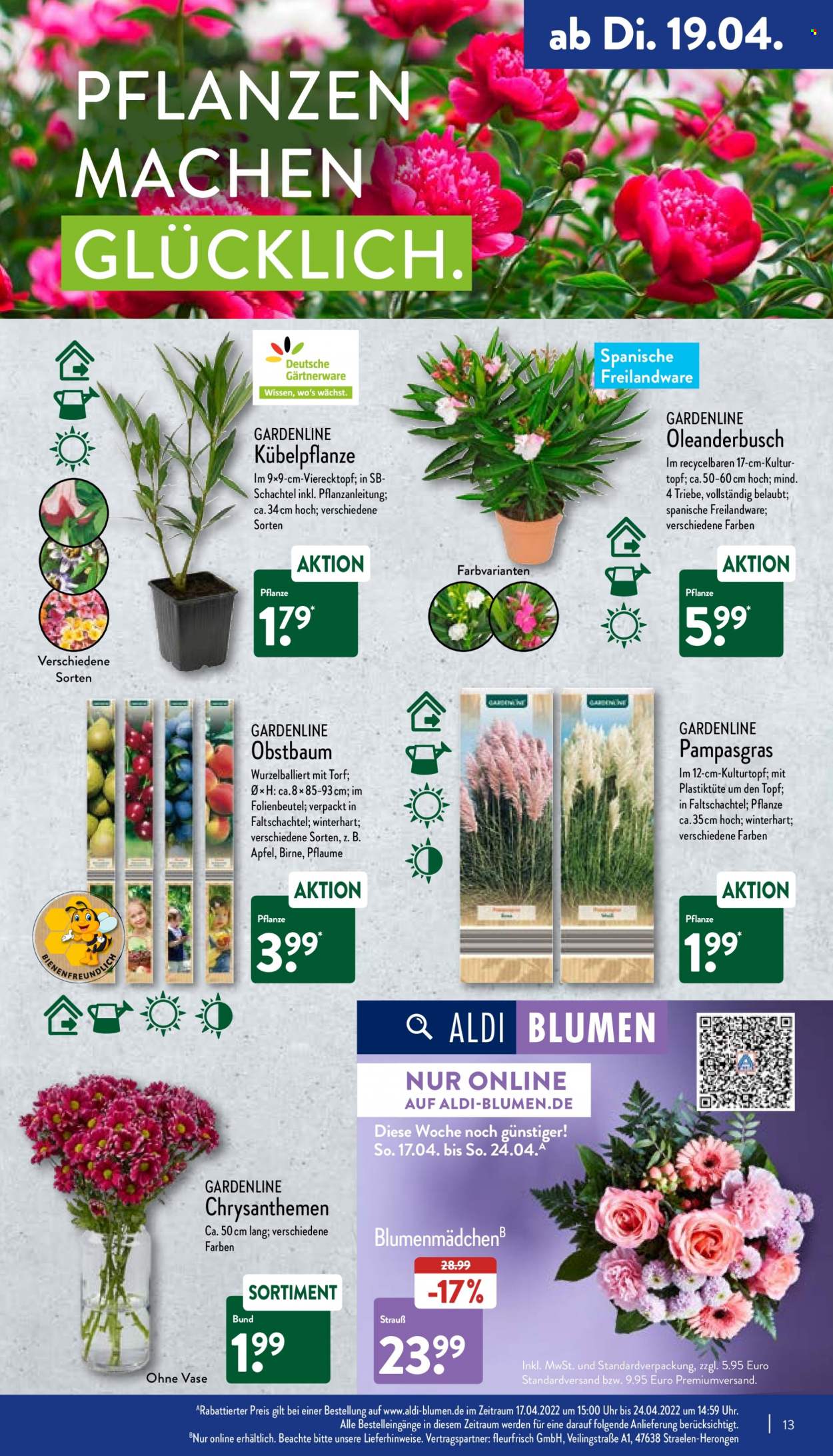 ALDI Nord Prospekte  - 19.04.2022 - 23.04.2022. Seite 13