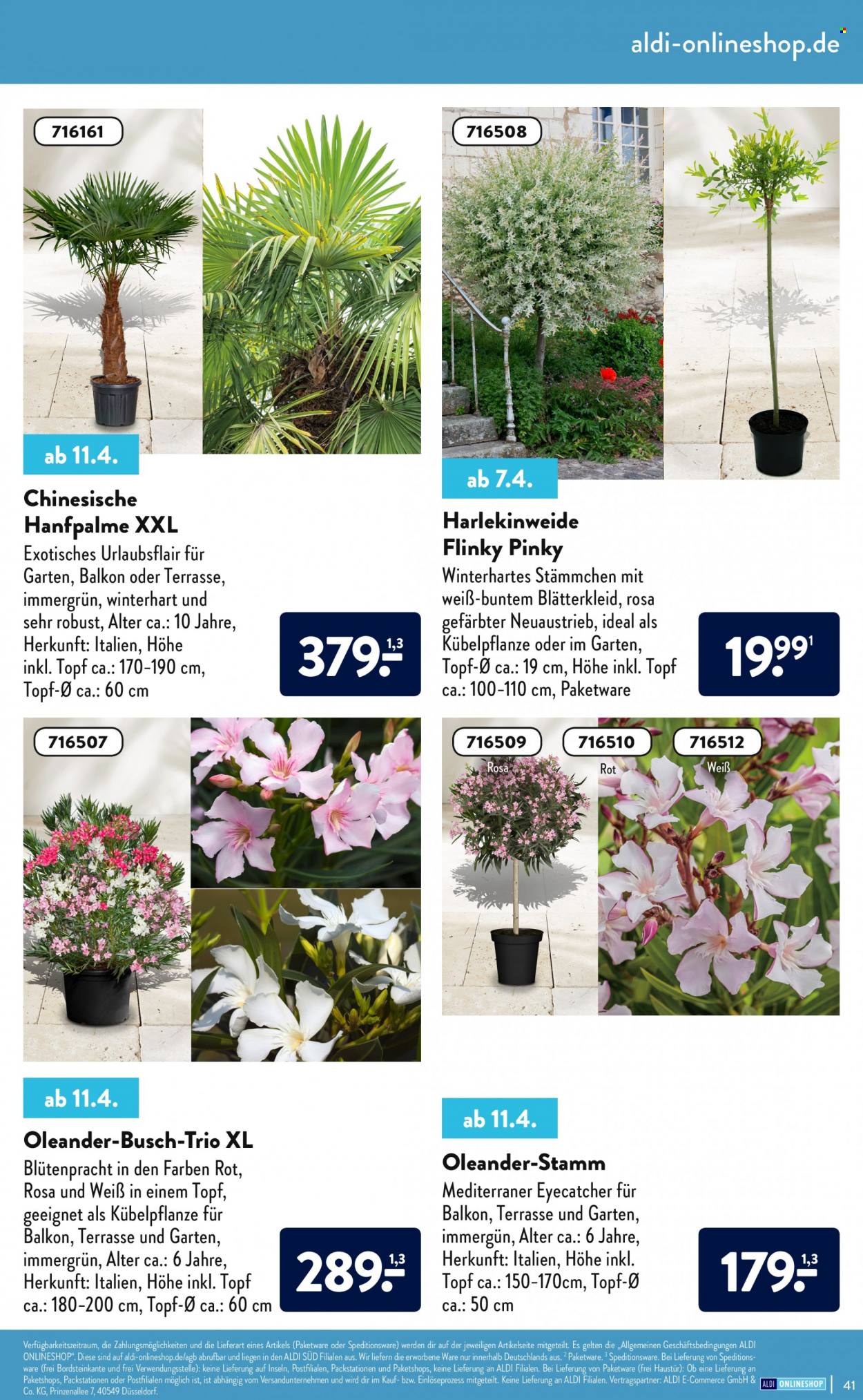 ALDI Nord Prospekte . Seite 41