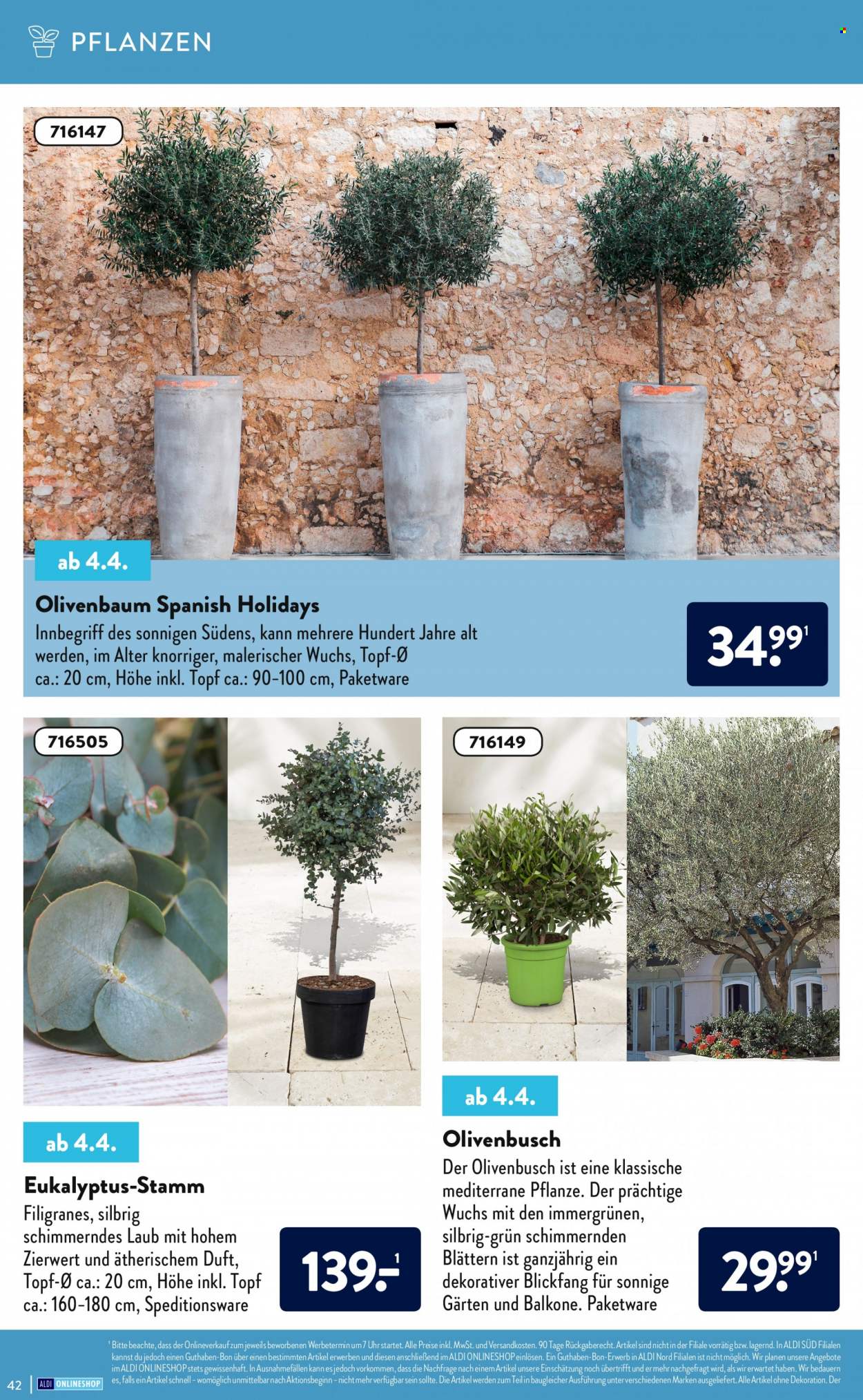 ALDI SÜD Prospekte . Seite 42