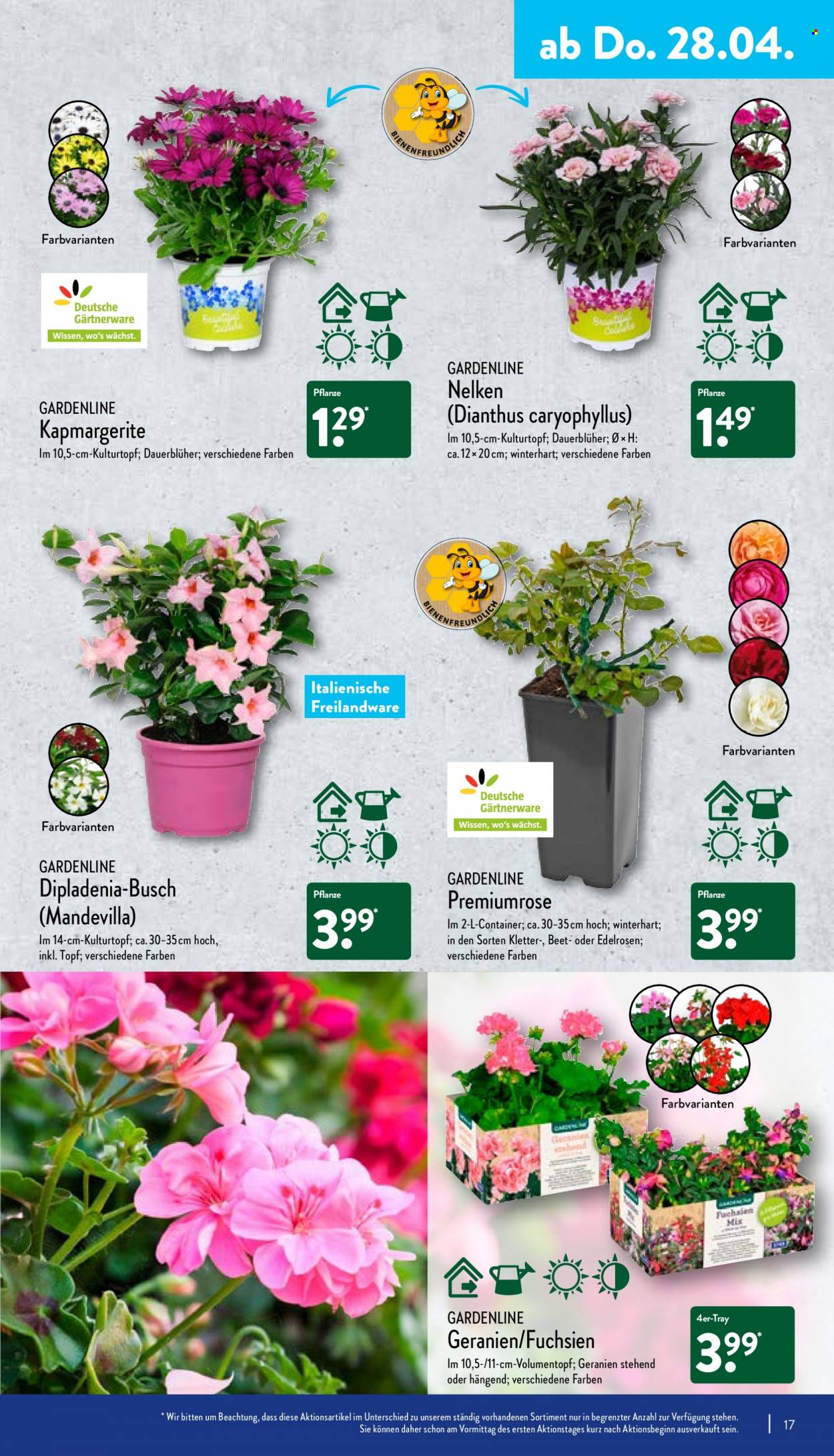 ALDI Nord Prospekte  - 25.04.2022 - 30.04.2022. Seite 17