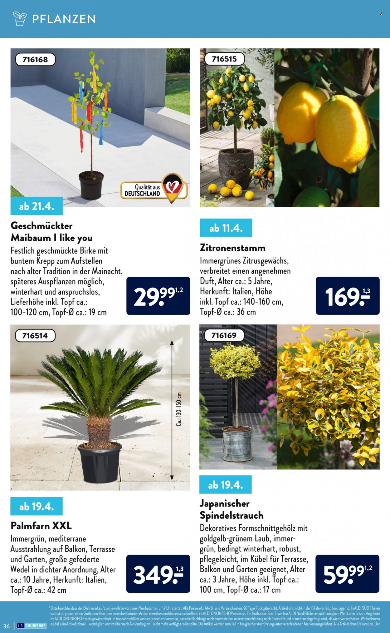 ALDI Nord Prospekte . Seite 36