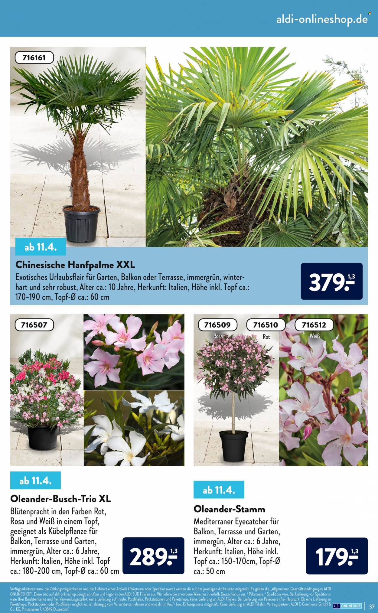 ALDI Nord Prospekte . Seite 37
