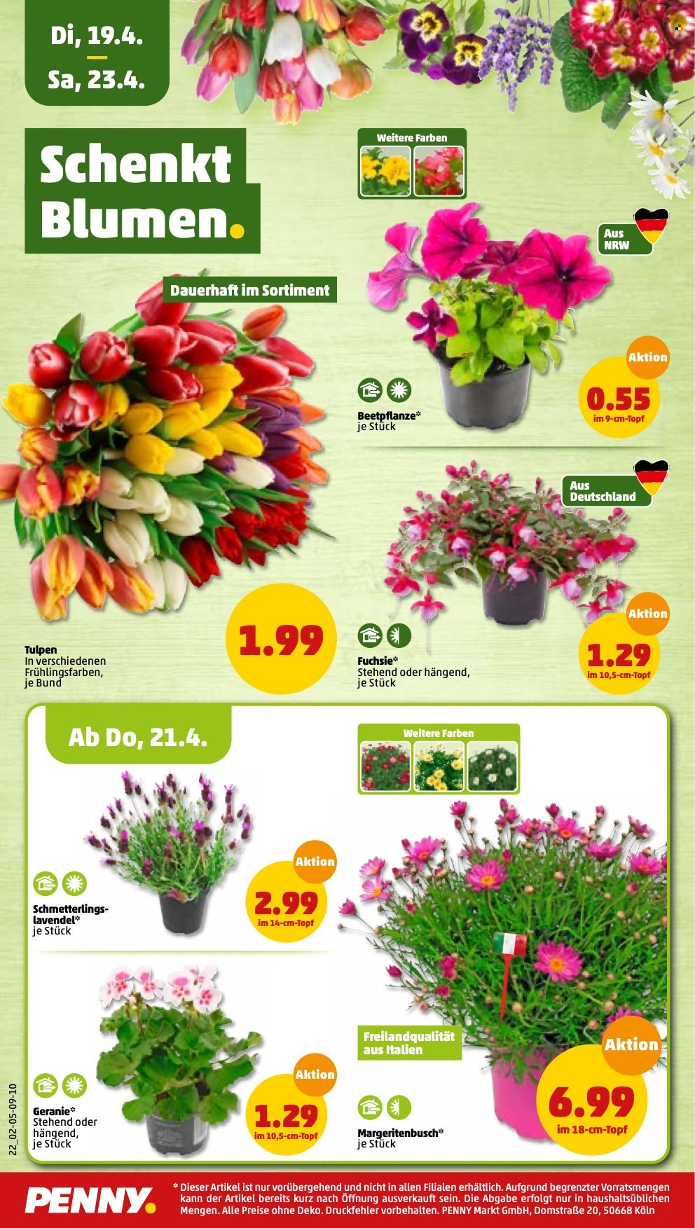 Penny Prospekte  - 19.04.2022 - 23.04.2022. Seite 18