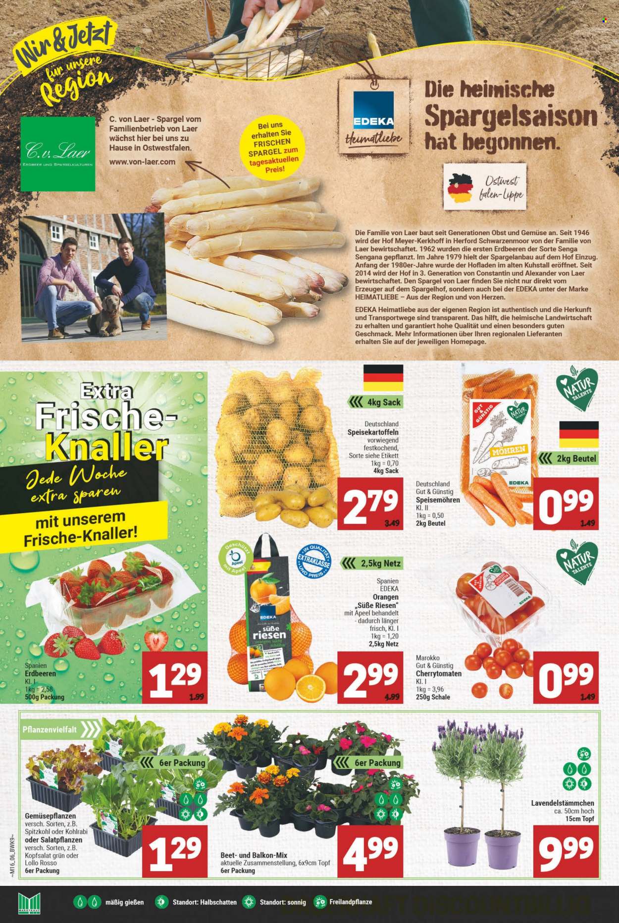 Marktkauf Prospekte  - 19.04.2022 - 23.04.2022. Seite 6