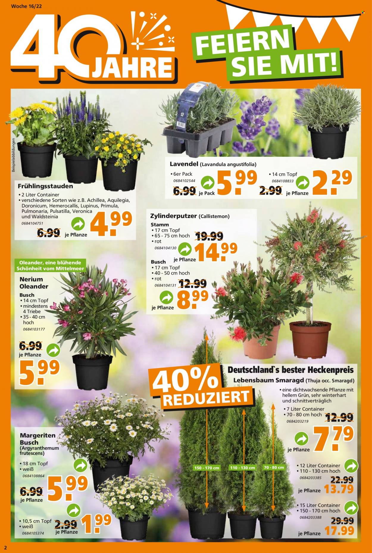 Globus Baumarkt Prospekte  - 19.04.2022 - 23.04.2022. Seite 2