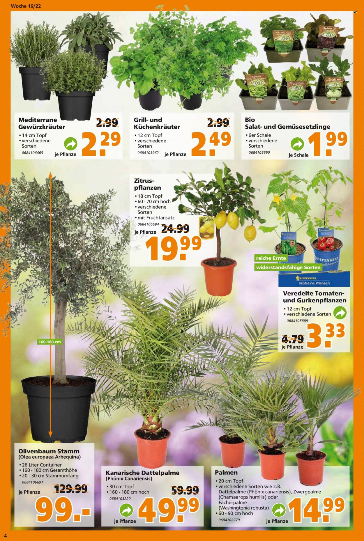Globus Baumarkt Prospekte  - 19.04.2022 - 23.04.2022. Seite 4