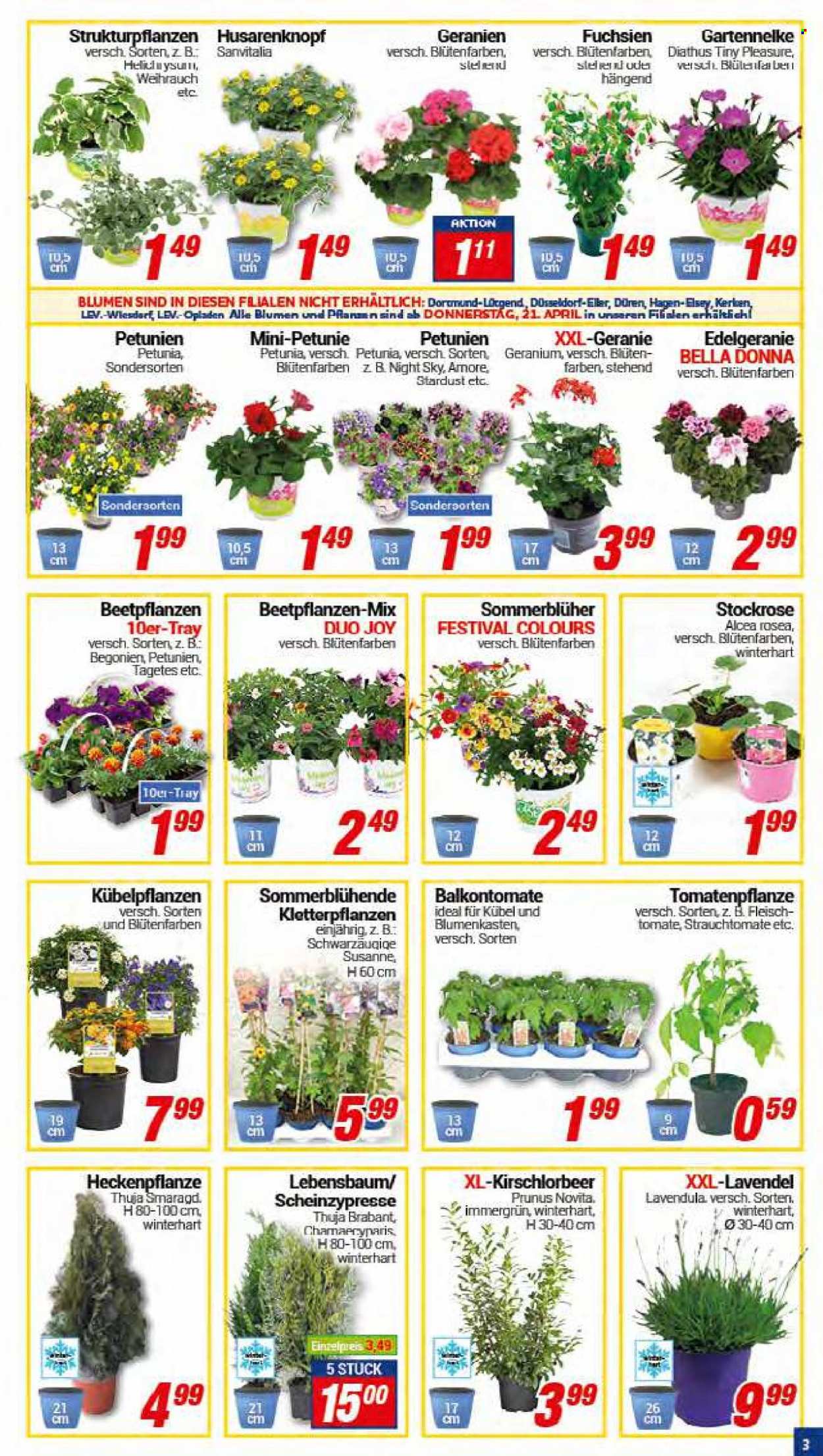 CENTERSHOP Prospekte  - 19.04.2022 - 23.04.2022. Seite 3