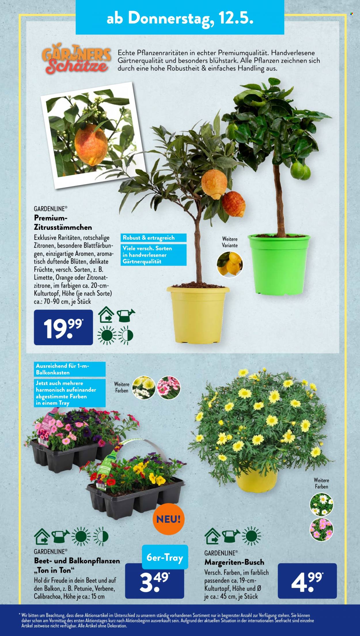 ALDI SÜD Prospekte  - 9.05.2022 - 14.05.2022. Seite 23