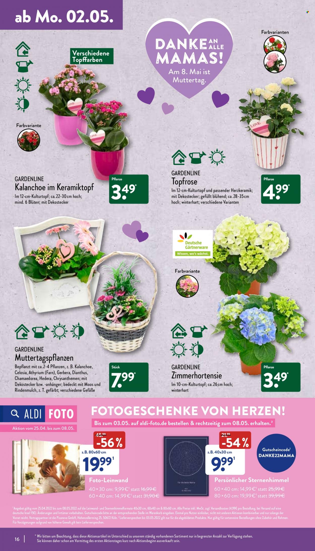 ALDI Nord Prospekte  - 2.05.2022 - 7.05.2022. Seite 16