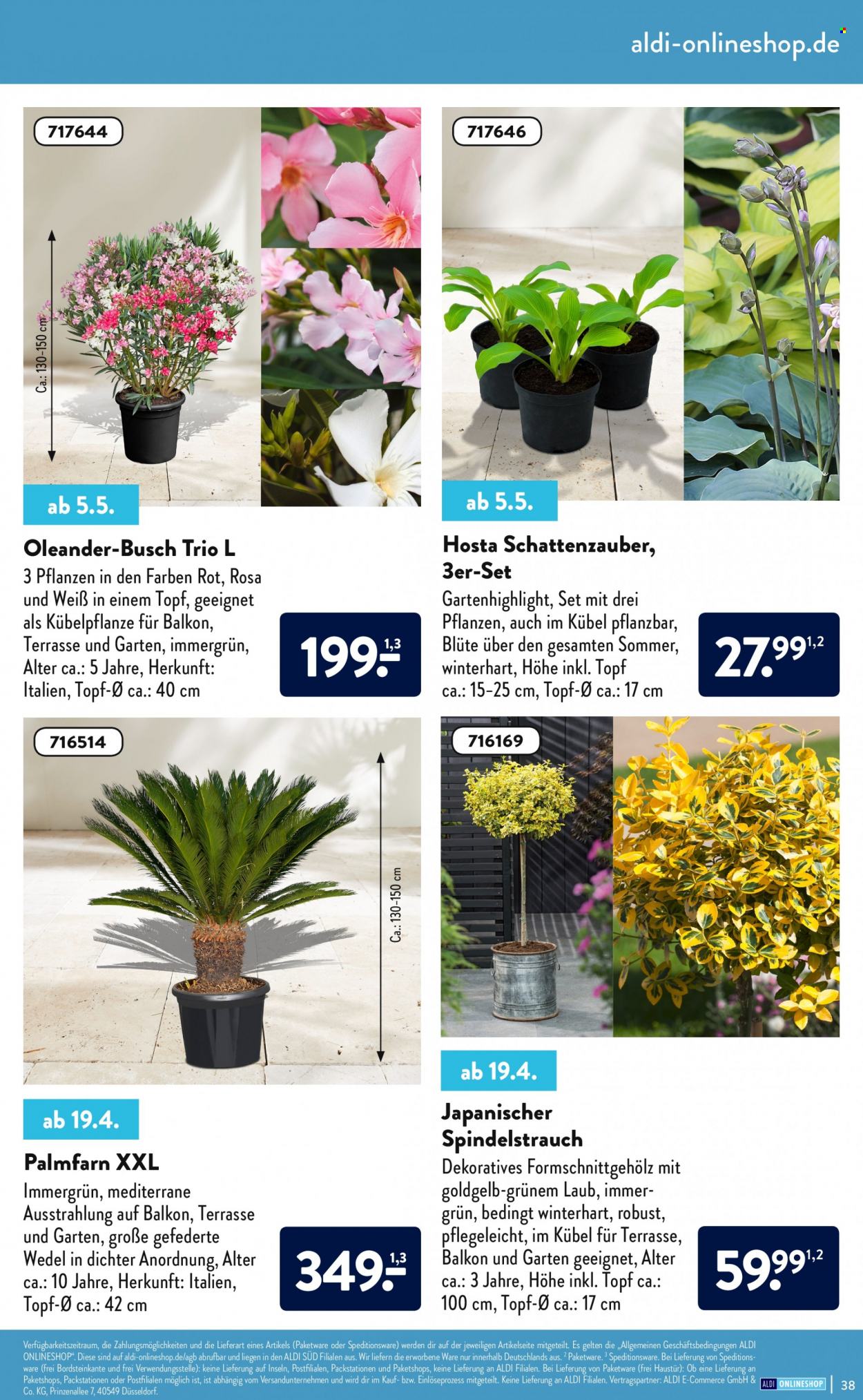 ALDI Nord Prospekte . Seite 38