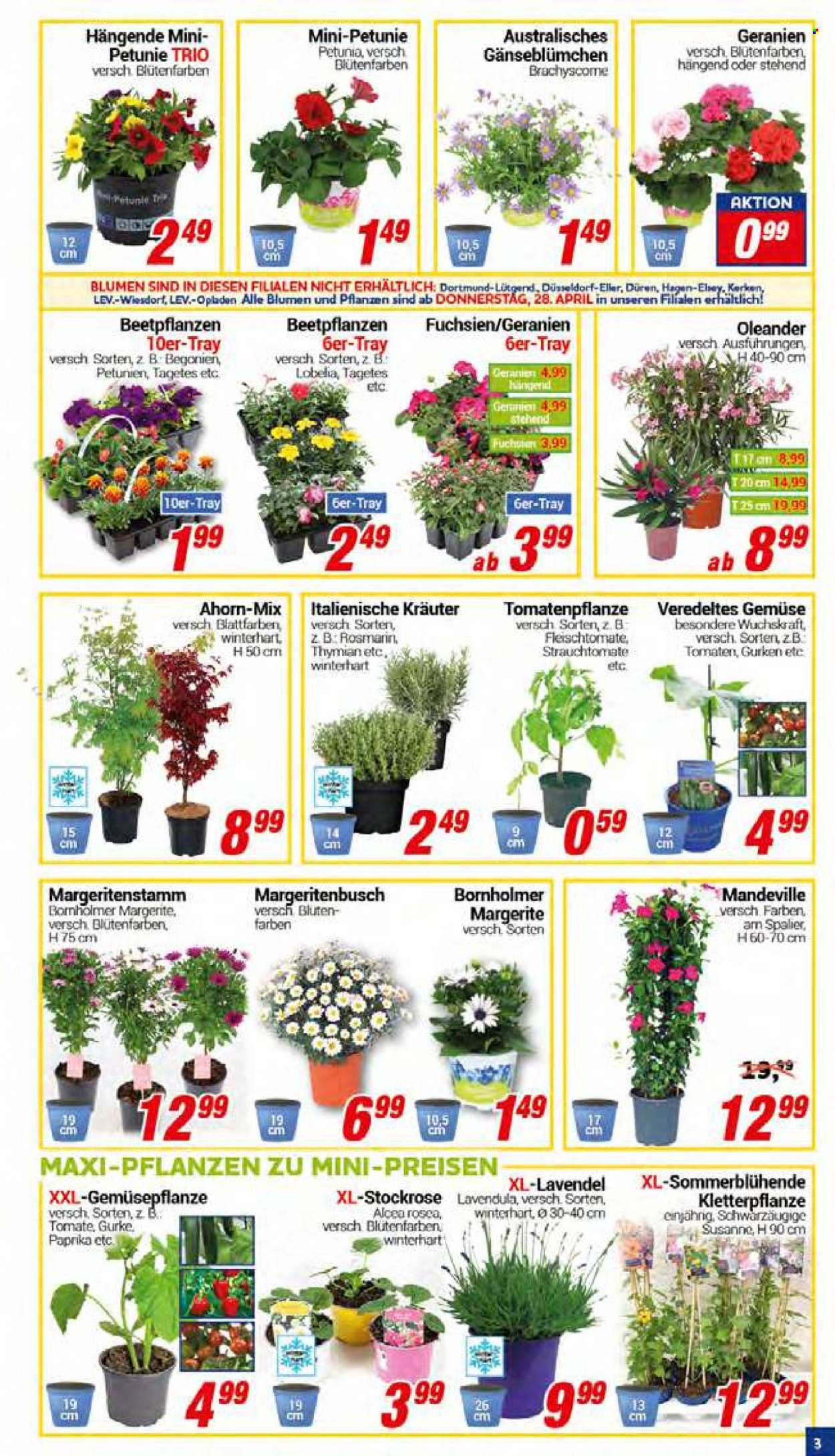 CENTERSHOP Prospekte  - 25.04.2022 - 30.04.2022. Seite 3