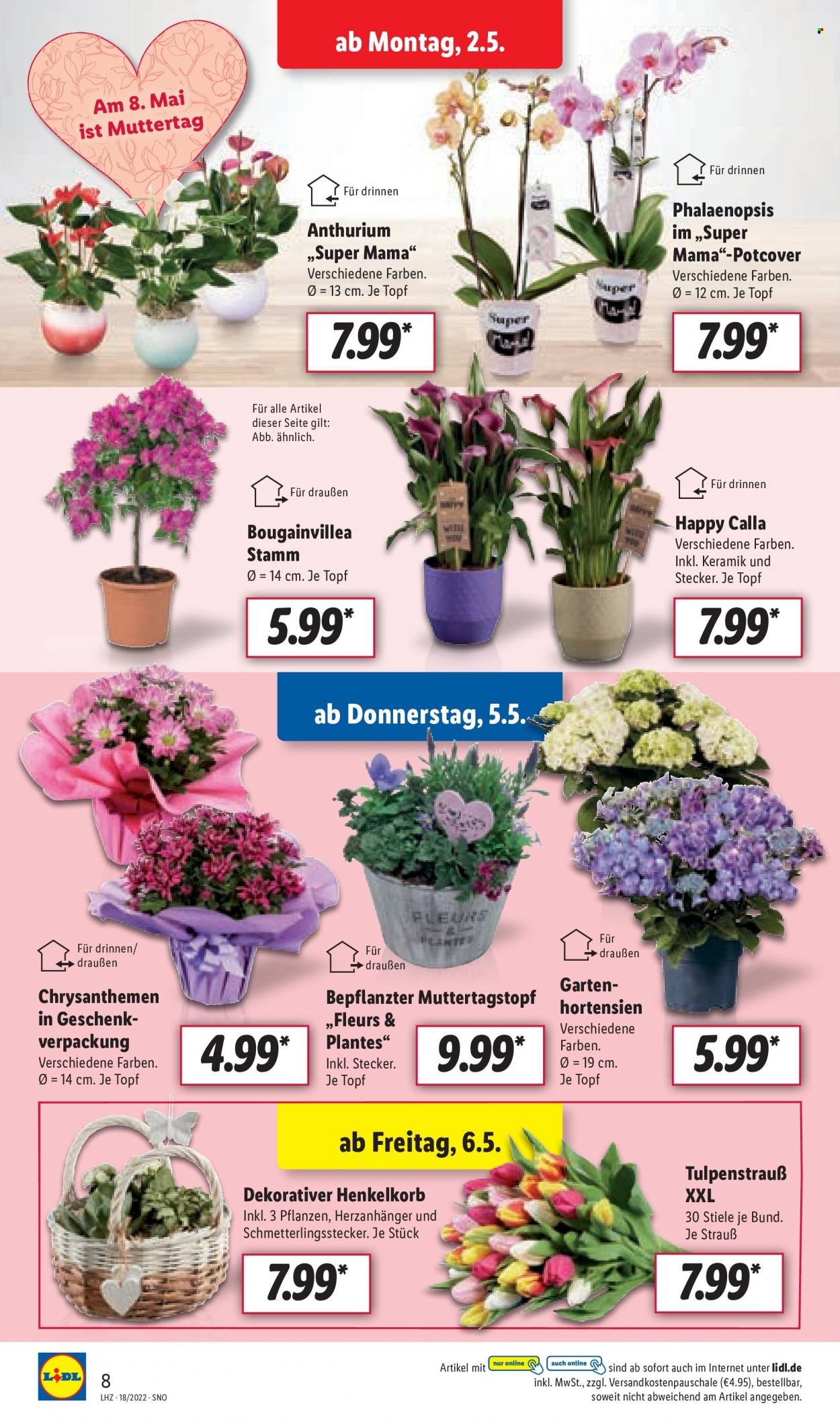 Lidl Prospekte  - 2.05.2022 - 7.05.2022. Seite 8